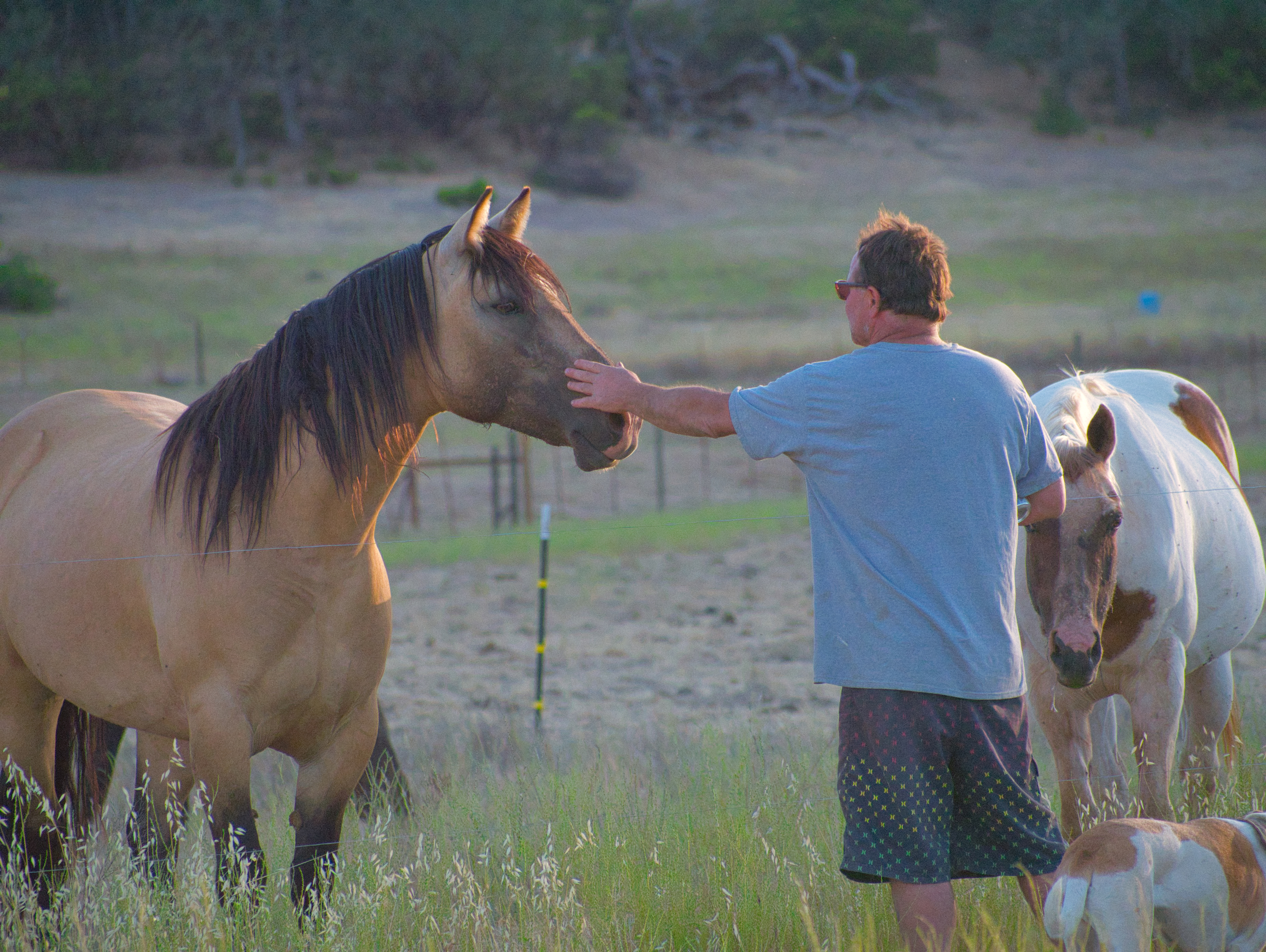 Vineyard Camping at Bad Rat Ranch