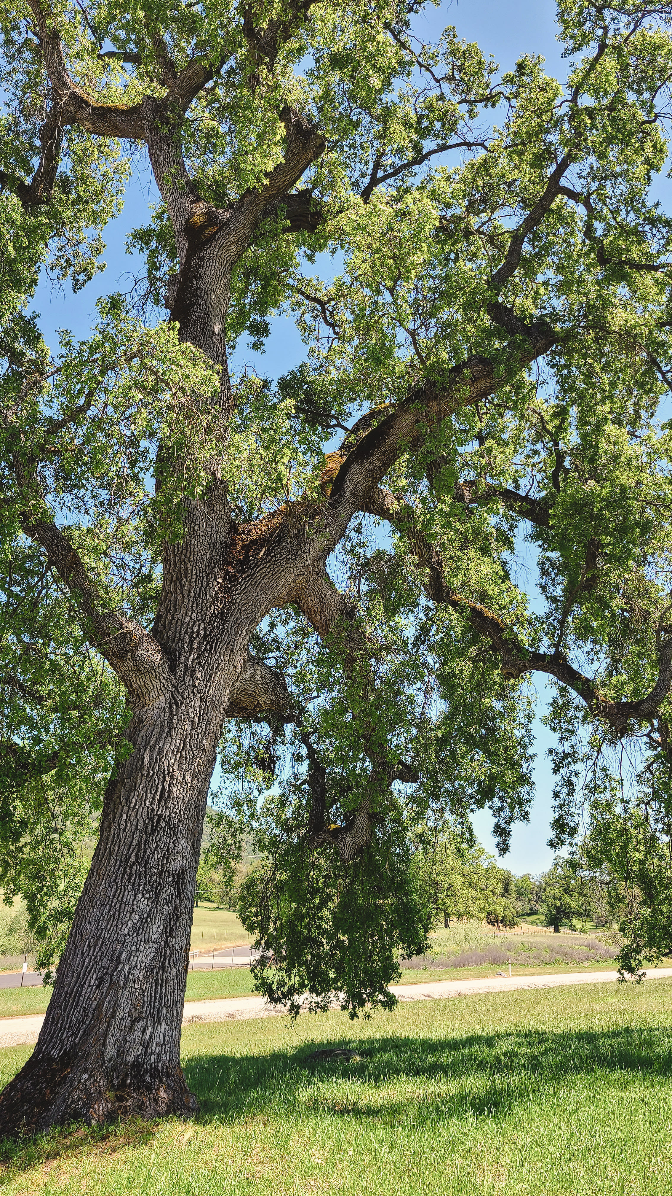 Prospect 772 Winery & Event Center