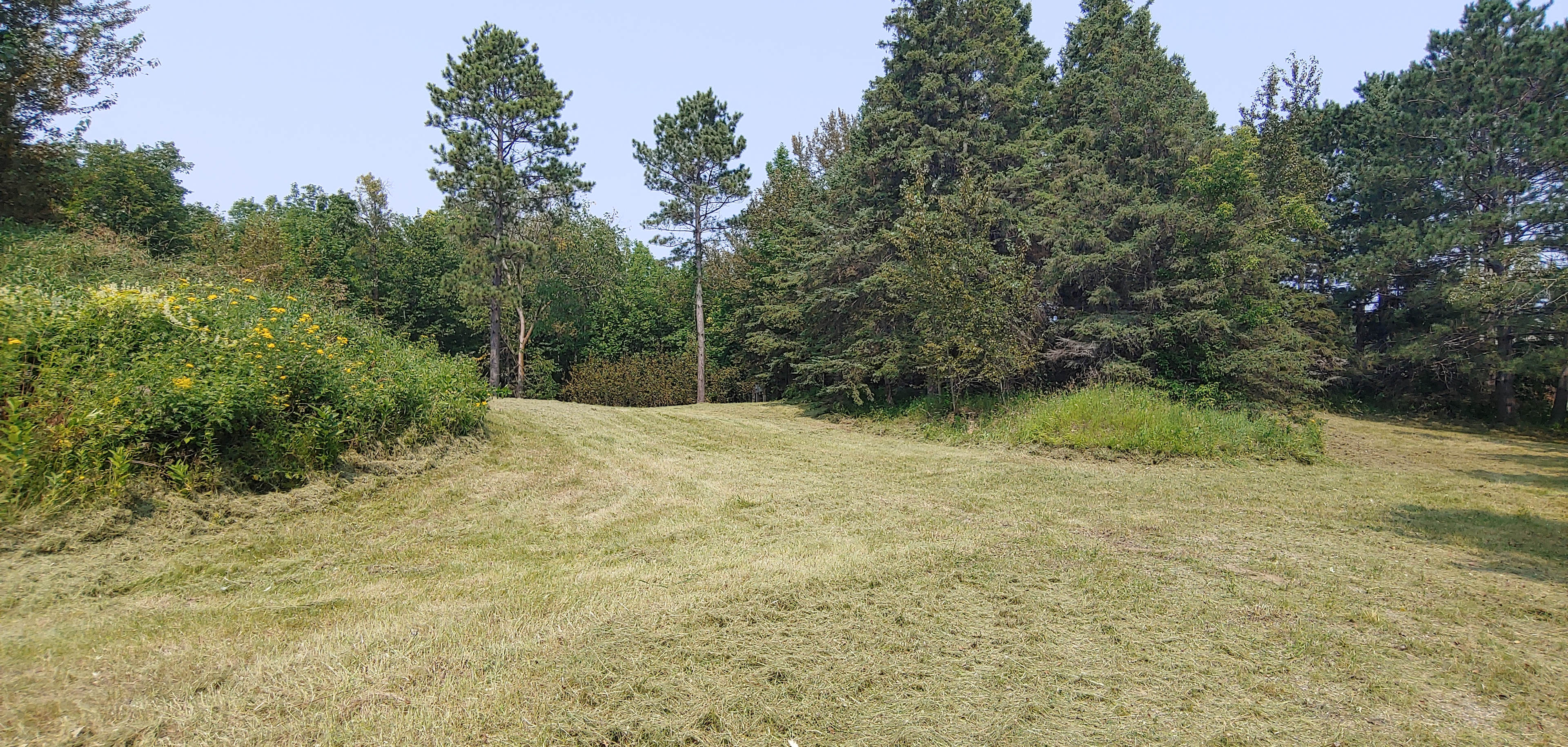 Crandall View