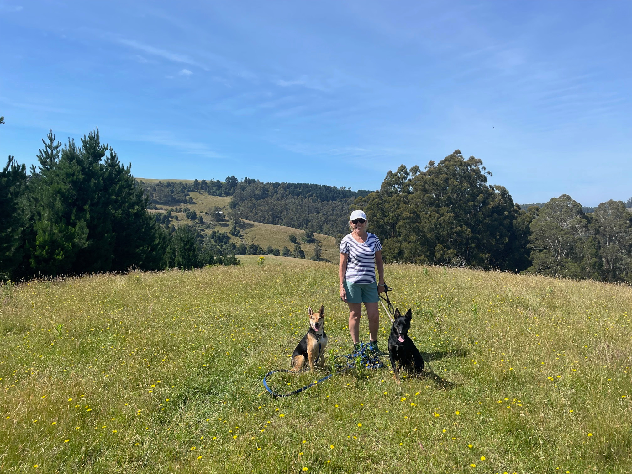 Tiny Castle at Tynecastle Park