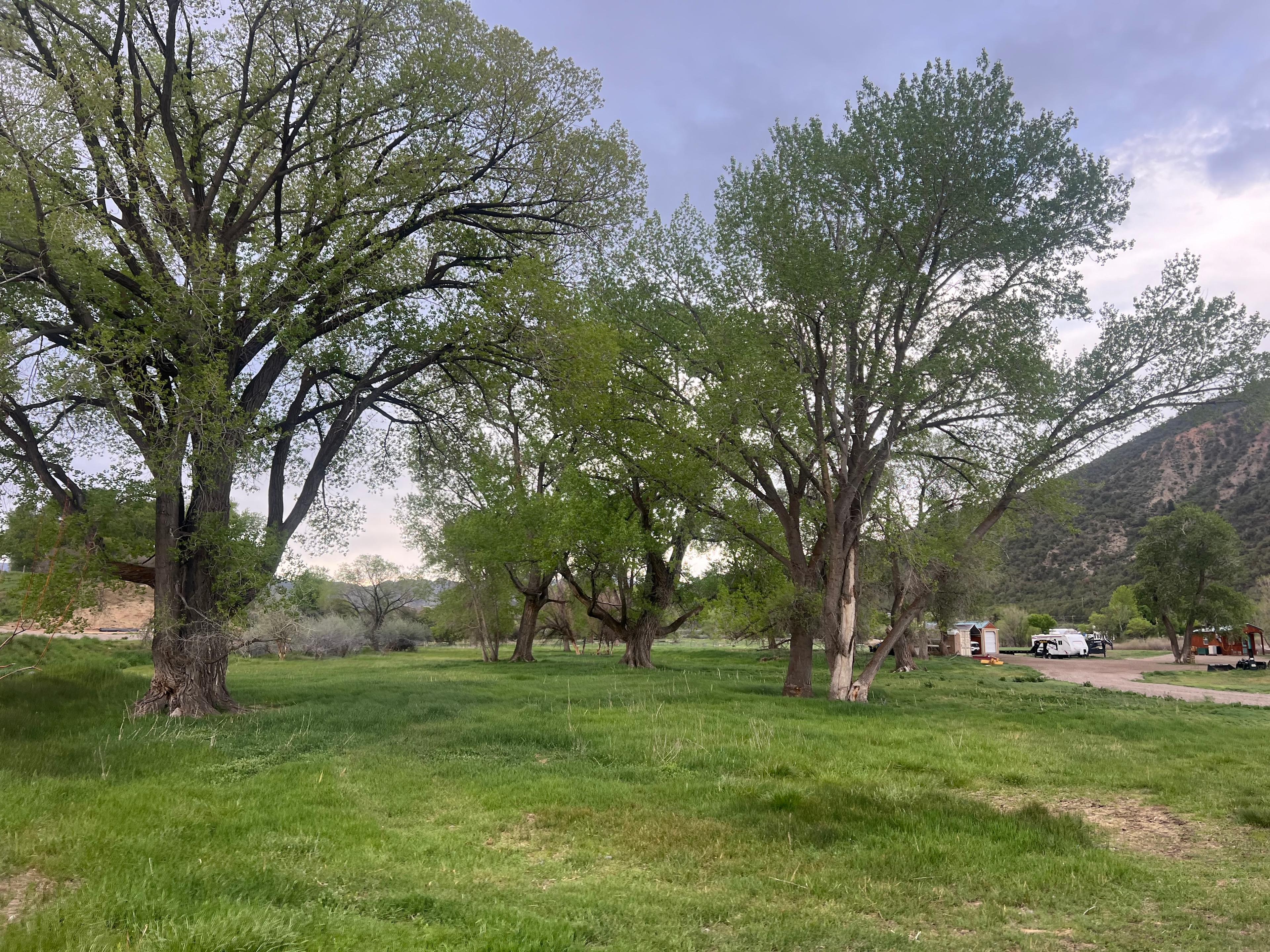 Colorado River Landing