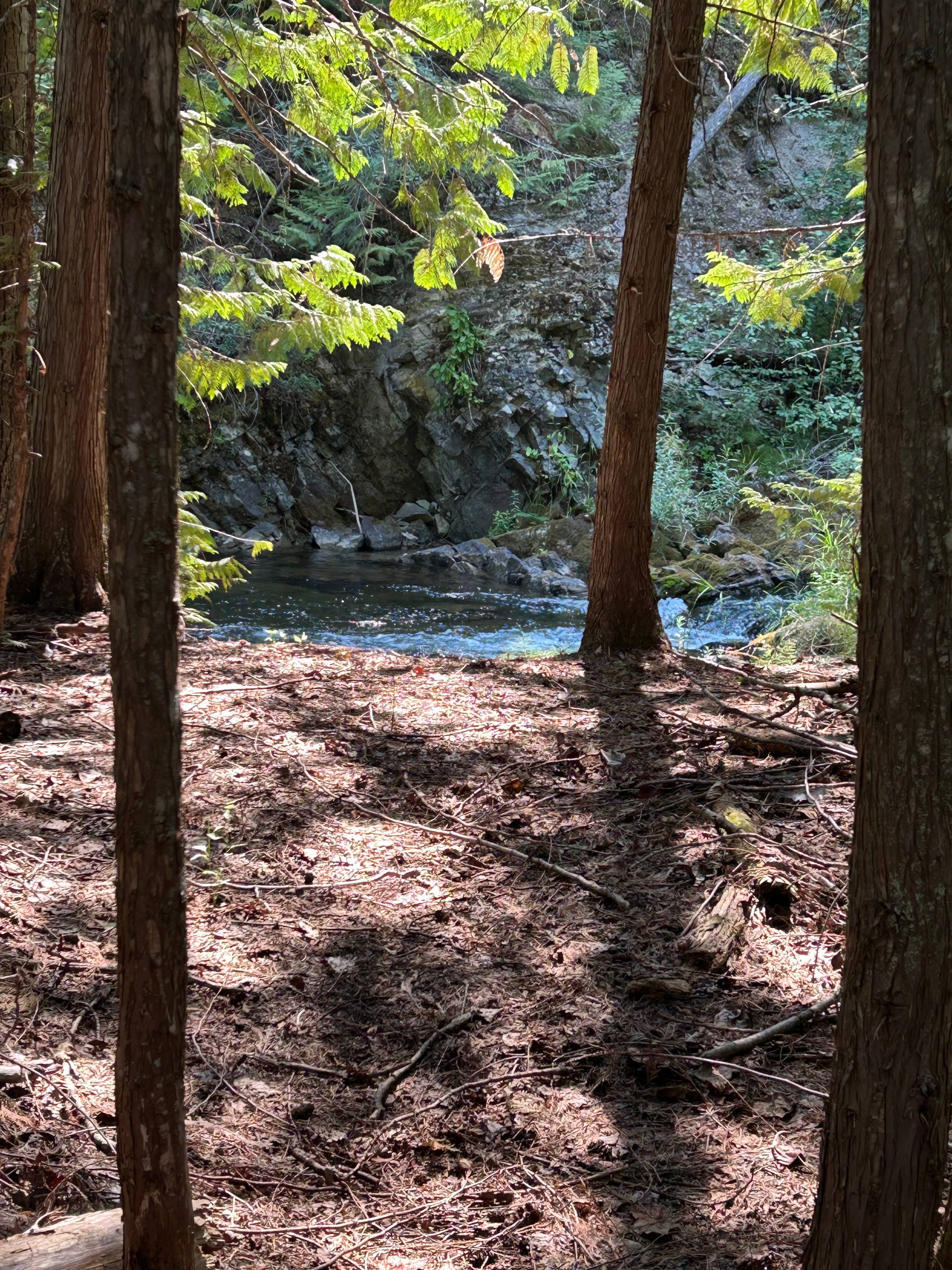 Good Creek Meadows