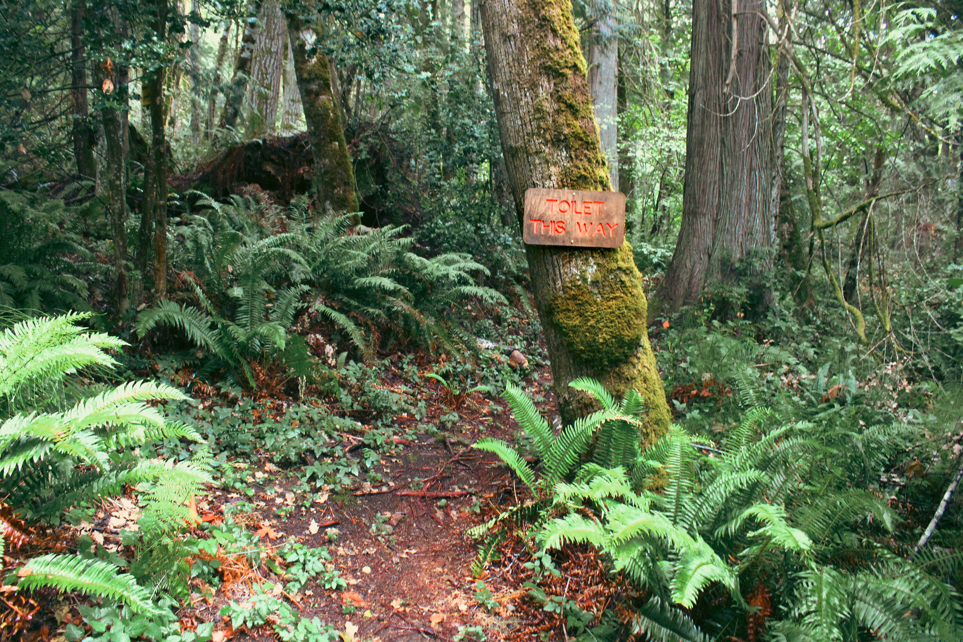 Toilet sign was even super cute!