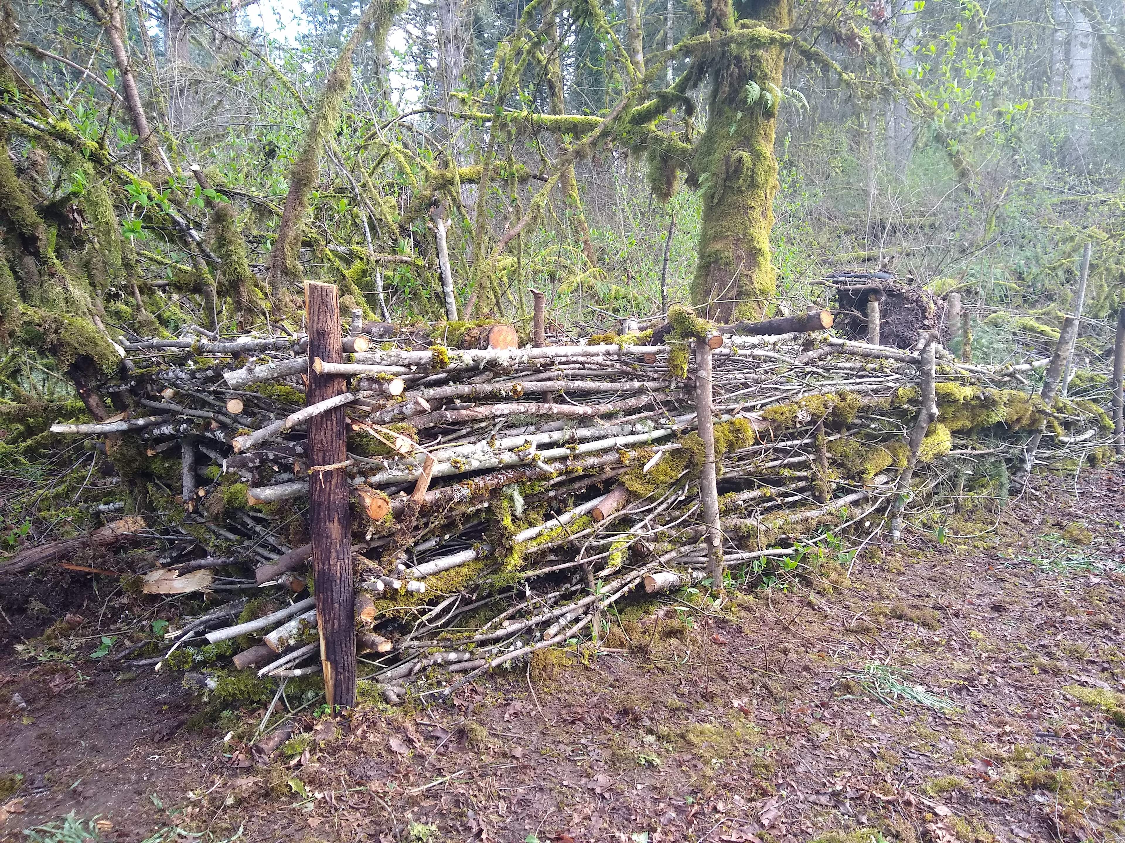 Edric's Hollow