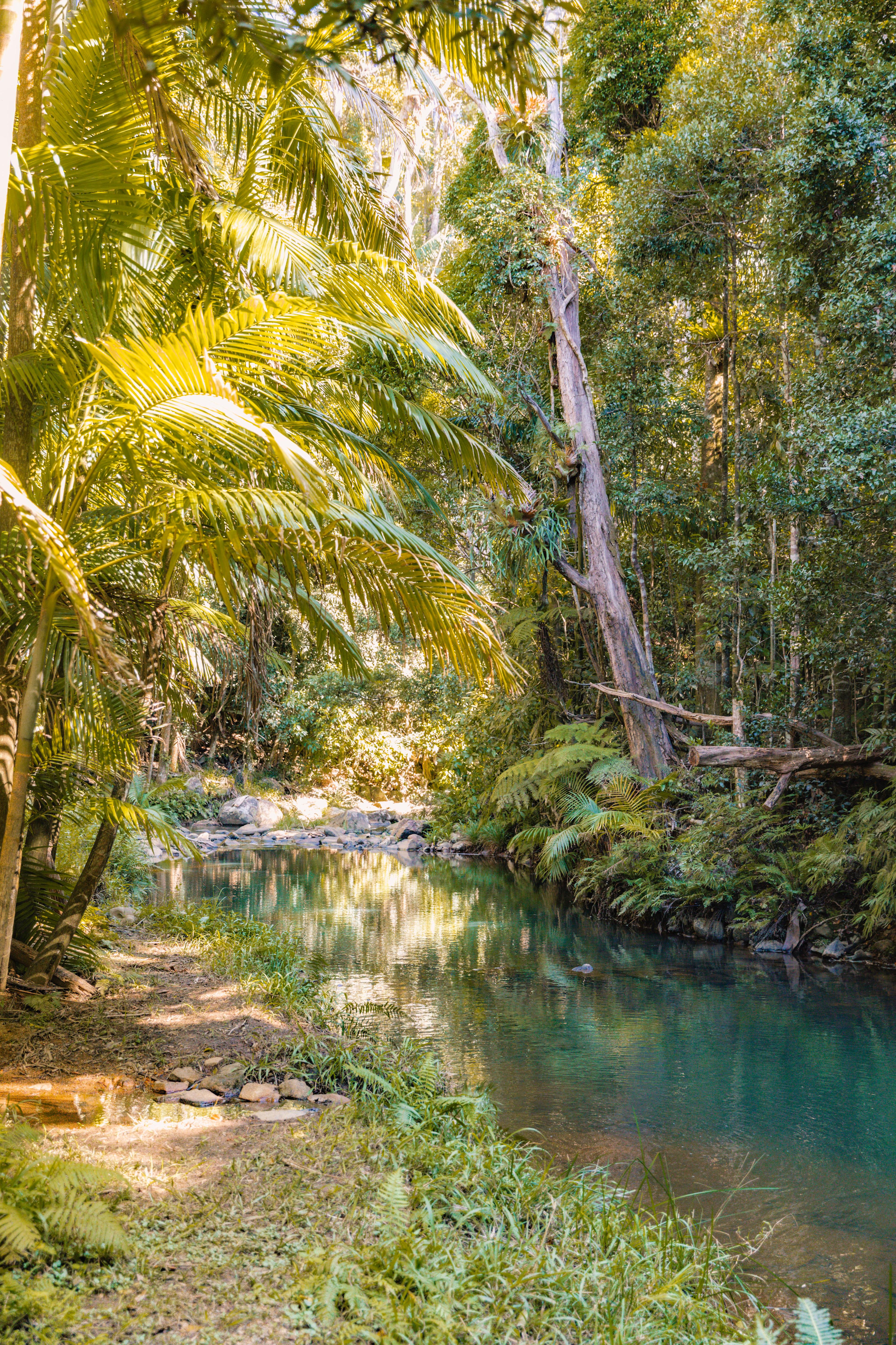 Dalrymple Heights Rainforest Stay