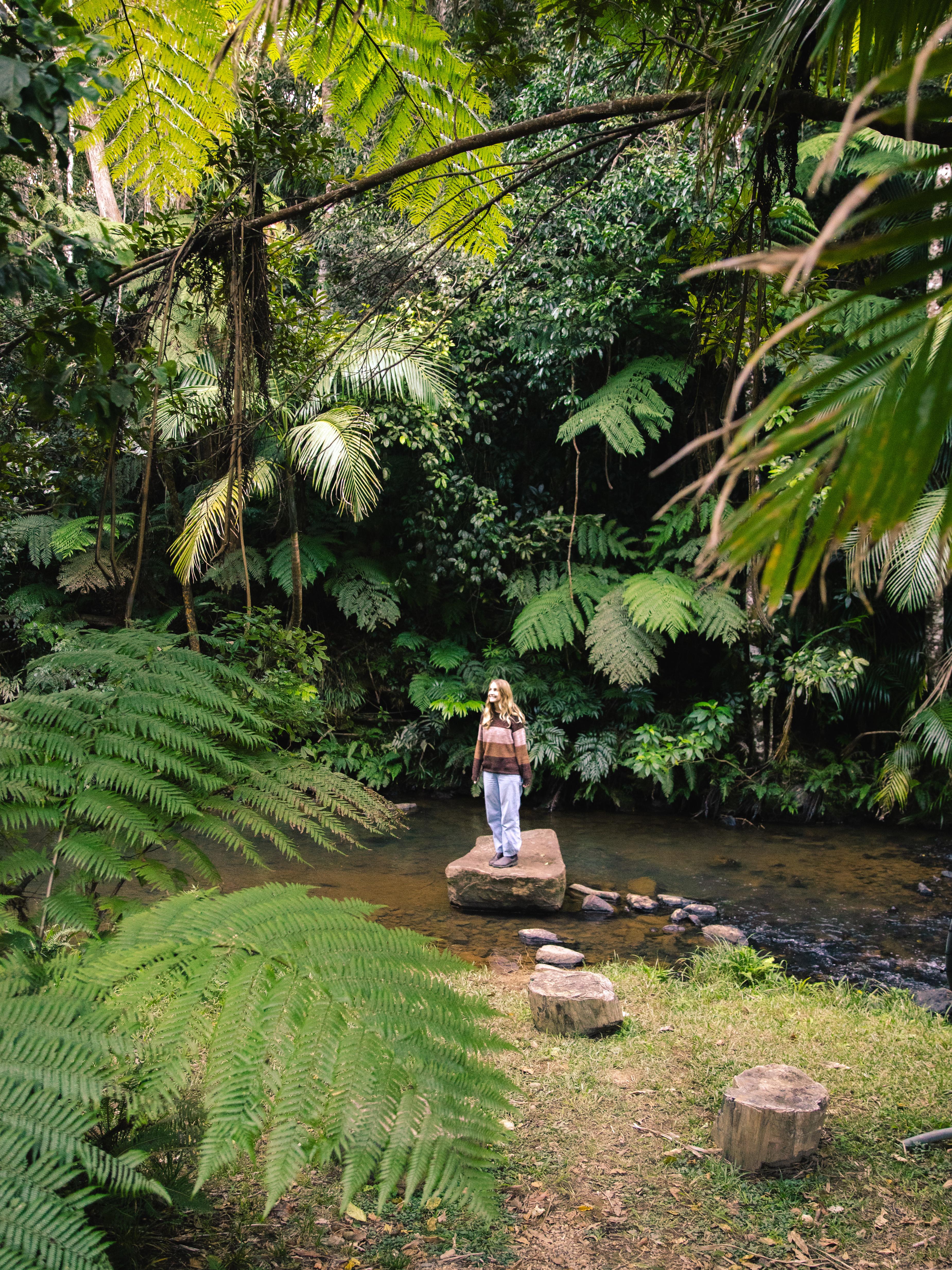 Dalrymple Heights Rainforest Stay