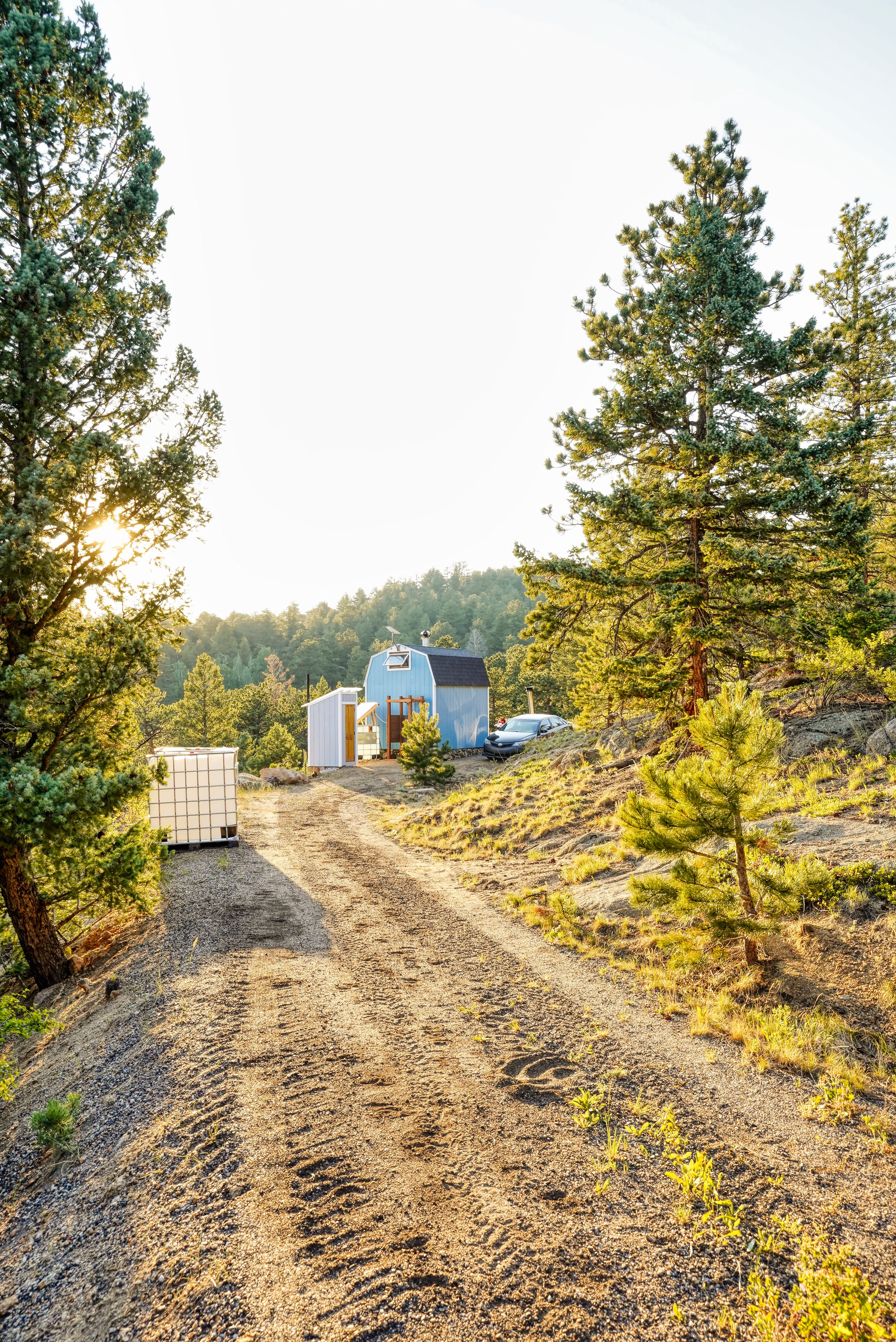 The Bluebear at Y Double-K Ranch