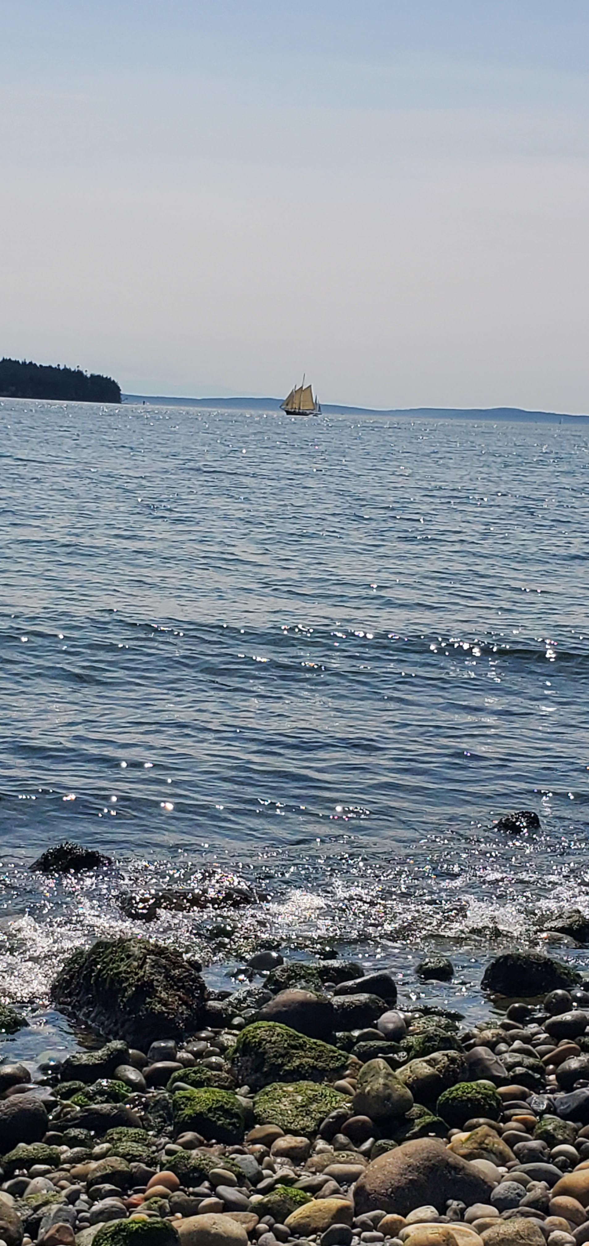 Peach Preserve Beach; short and easy trail walk at this wonderfully stewarded nature preserve.