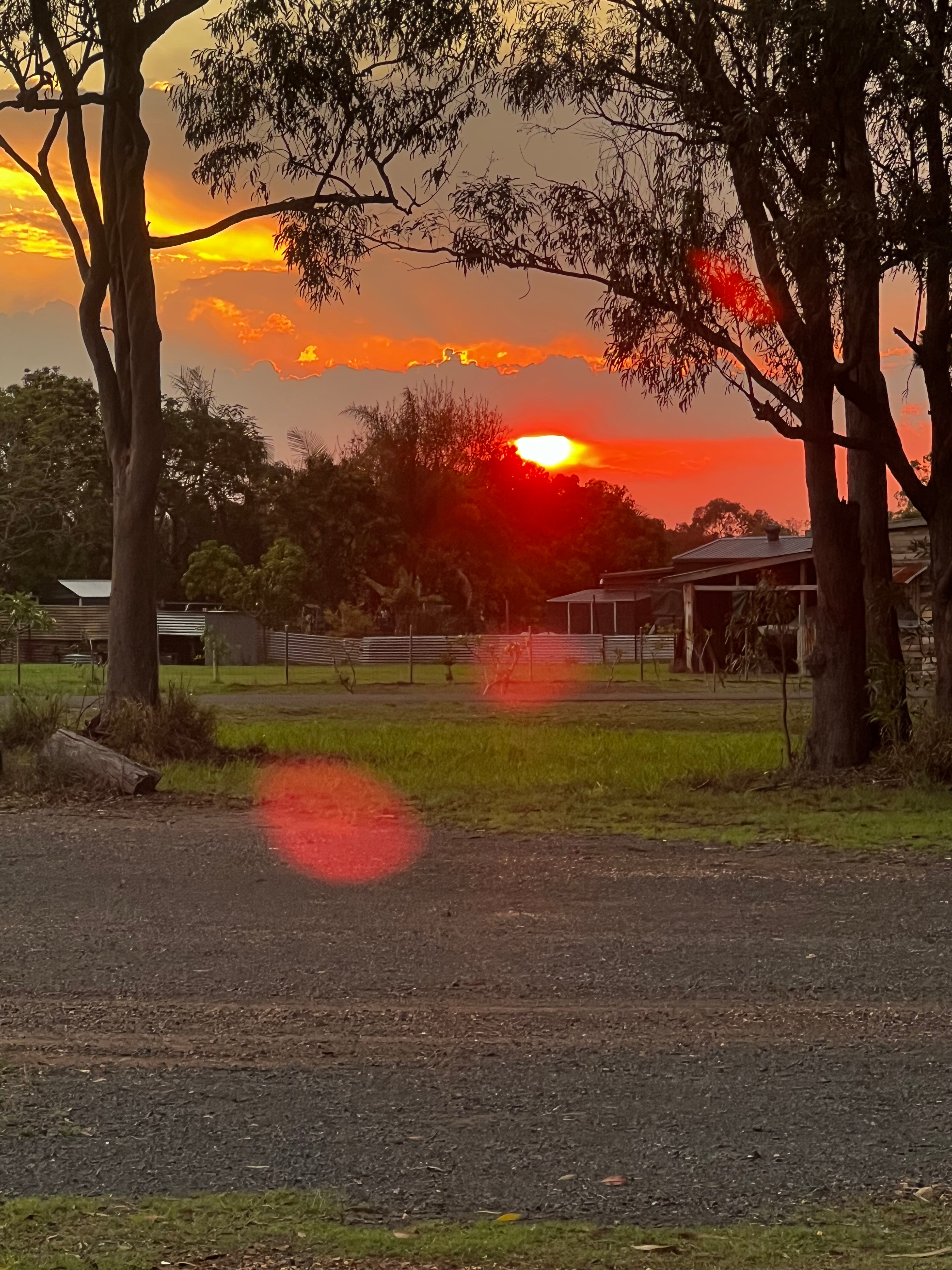 Sunrise Quarter Horse Stud