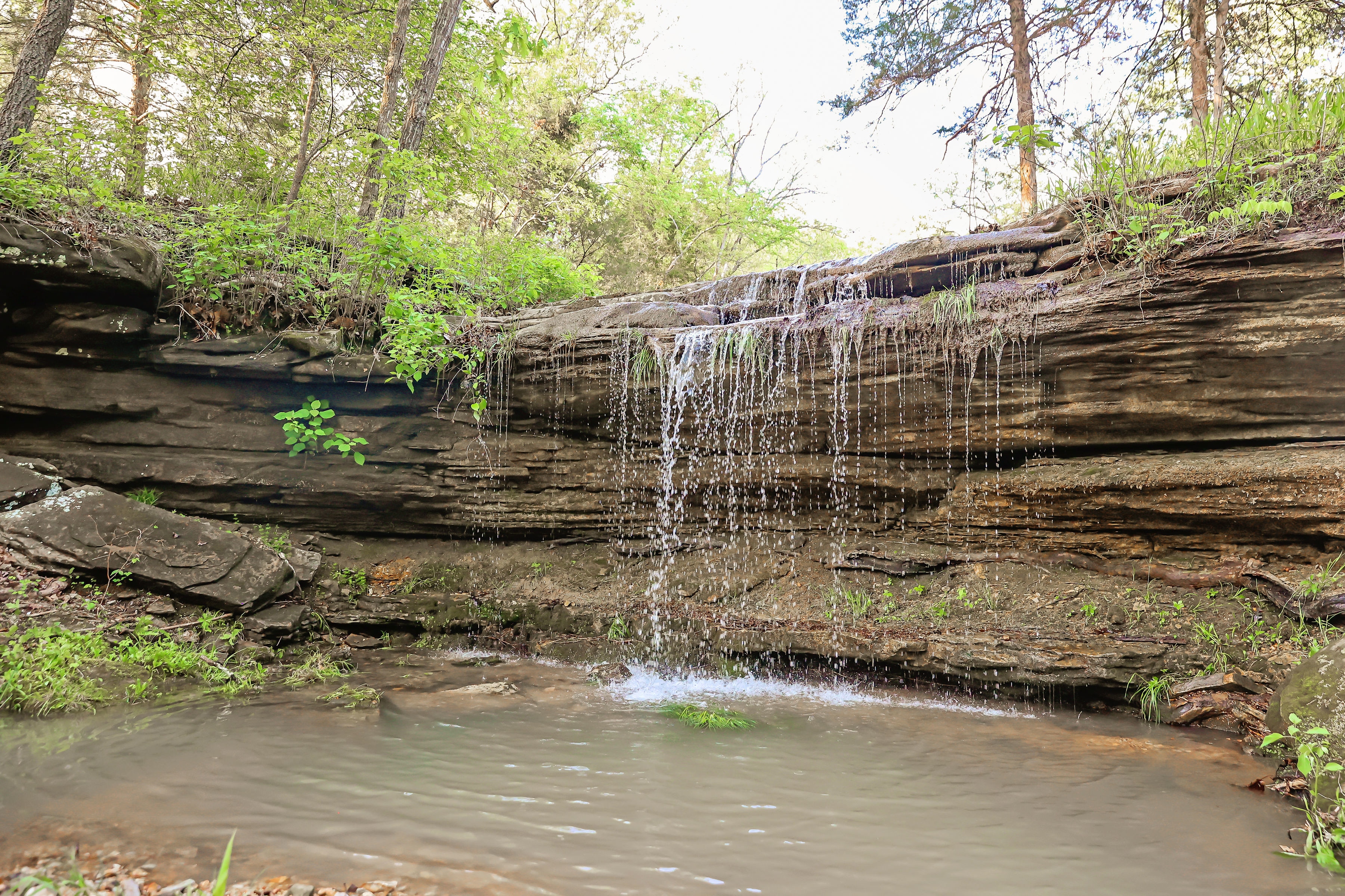 Spring Rock Ranch Glamping & Nature