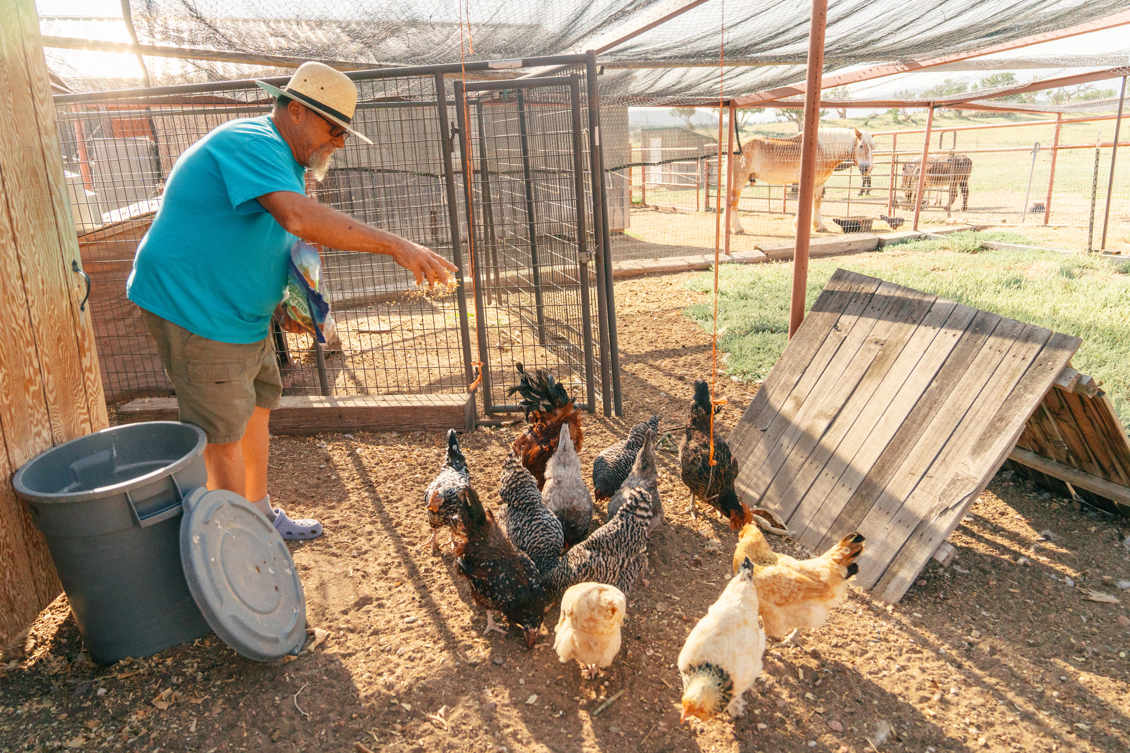 In the morning, the host showed me how he feeds all of the animals.