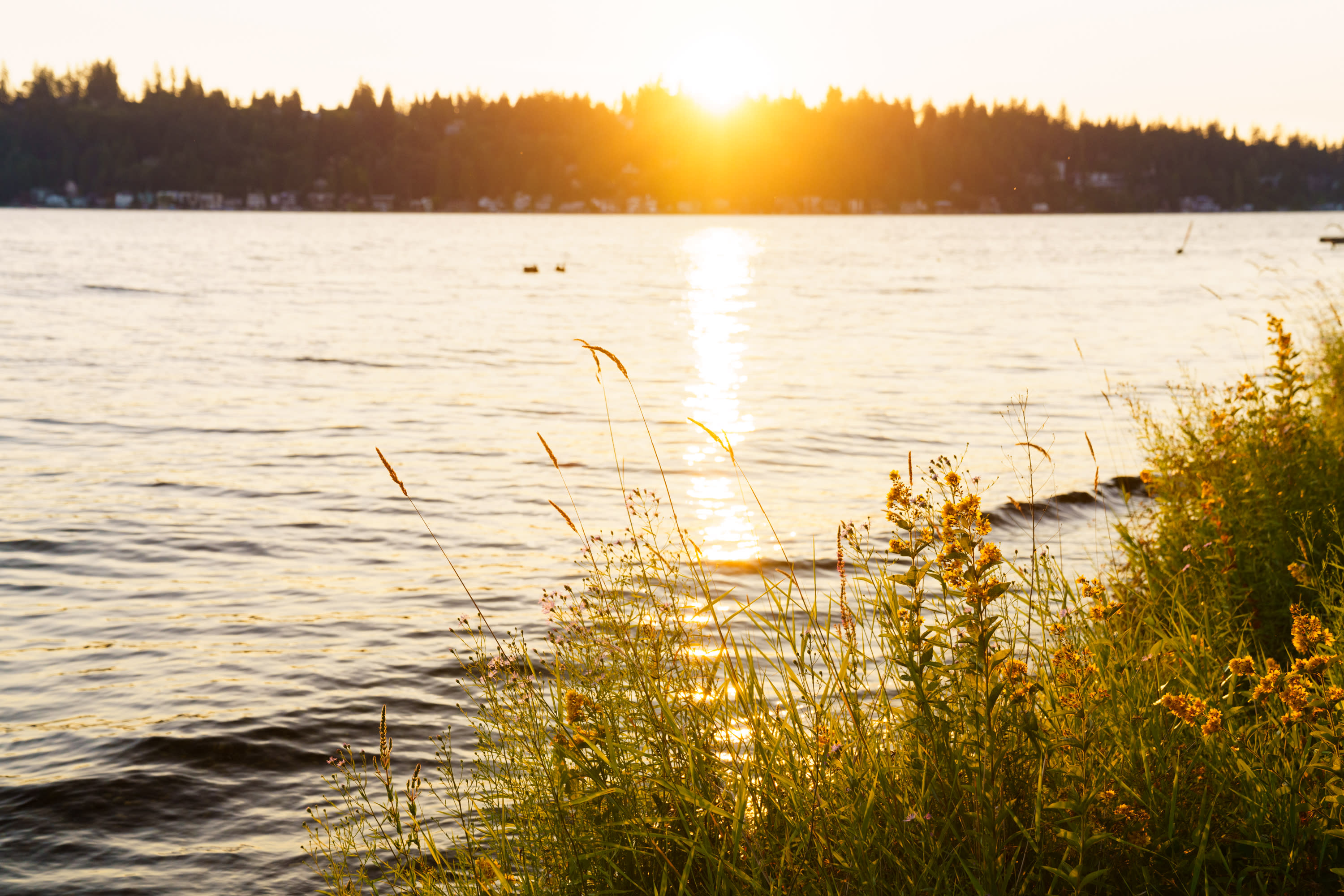 The sunset was prime!