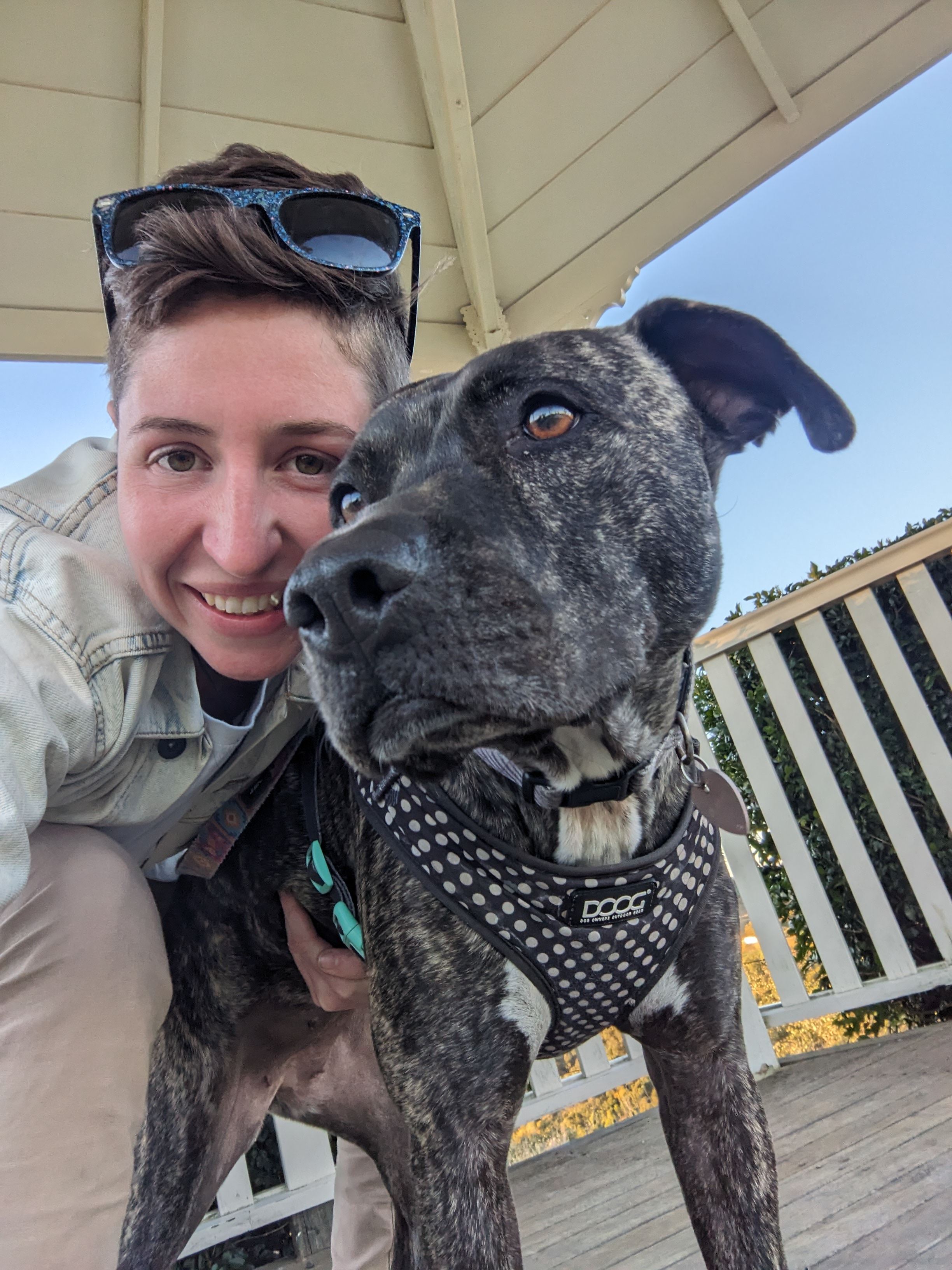 Silver Ridge ( Toowoomba) Hilltop Views