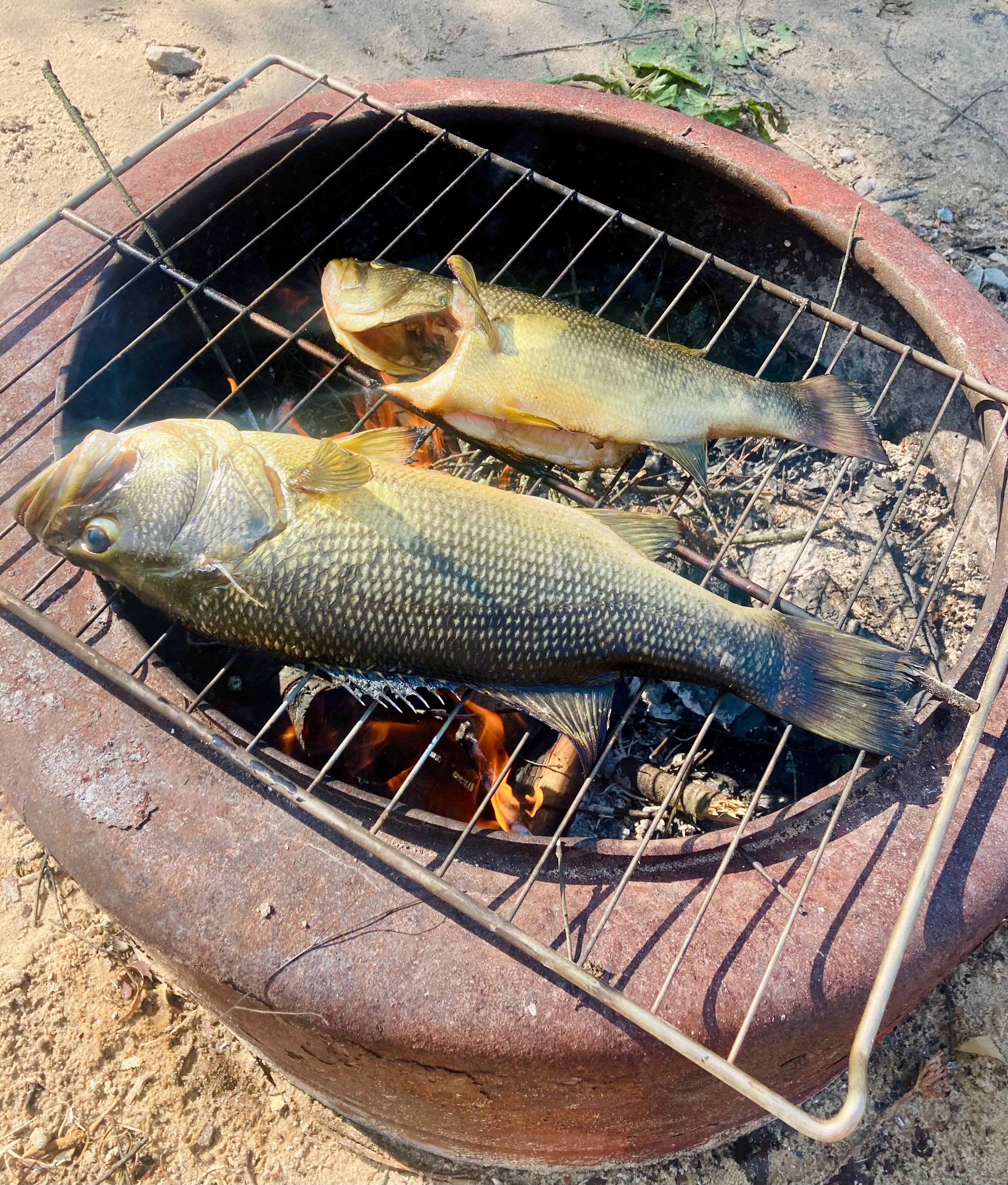 Lakeside (Parry Sound/Nipissing)