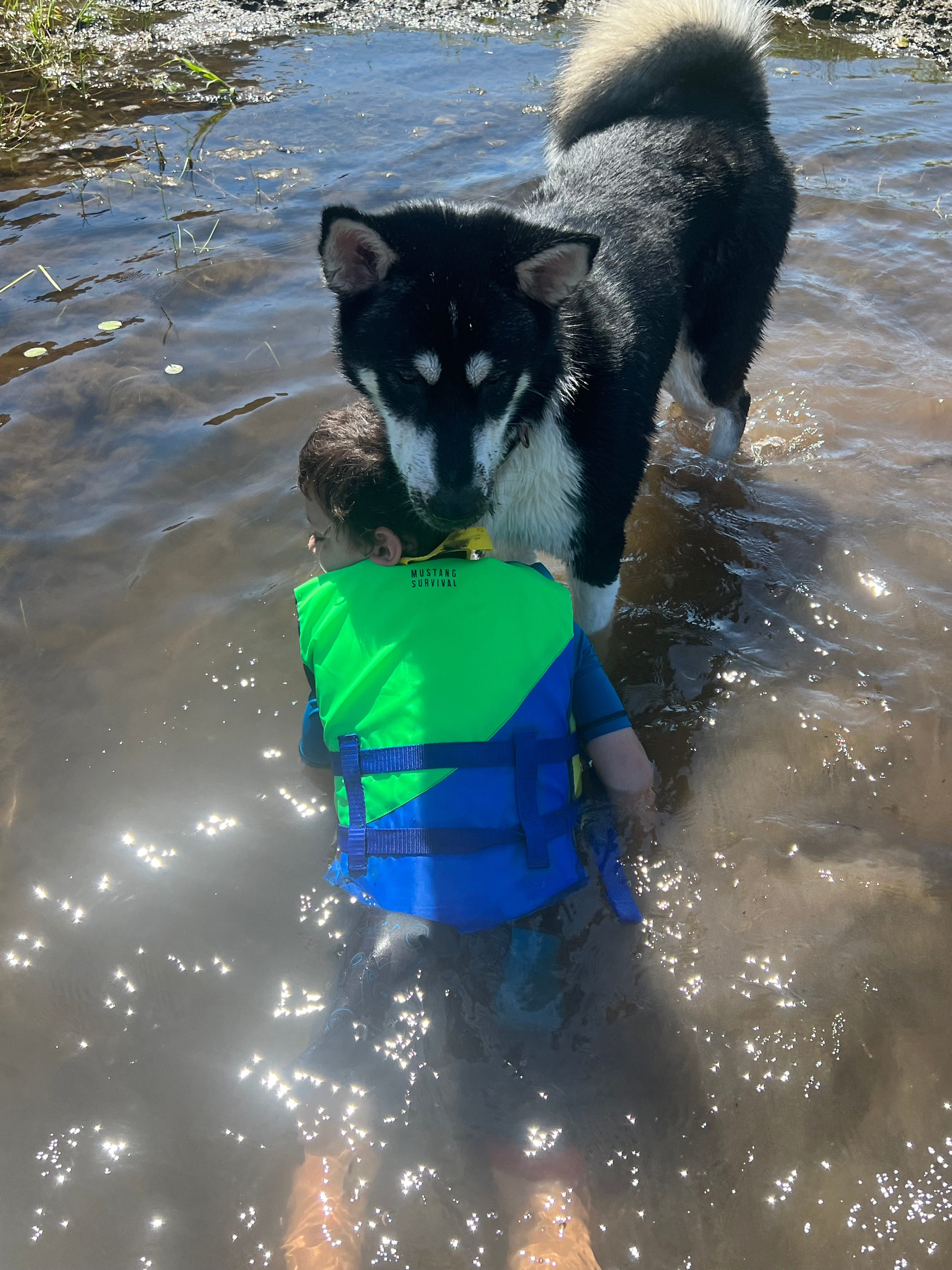 Vital Farm at Clear Lake