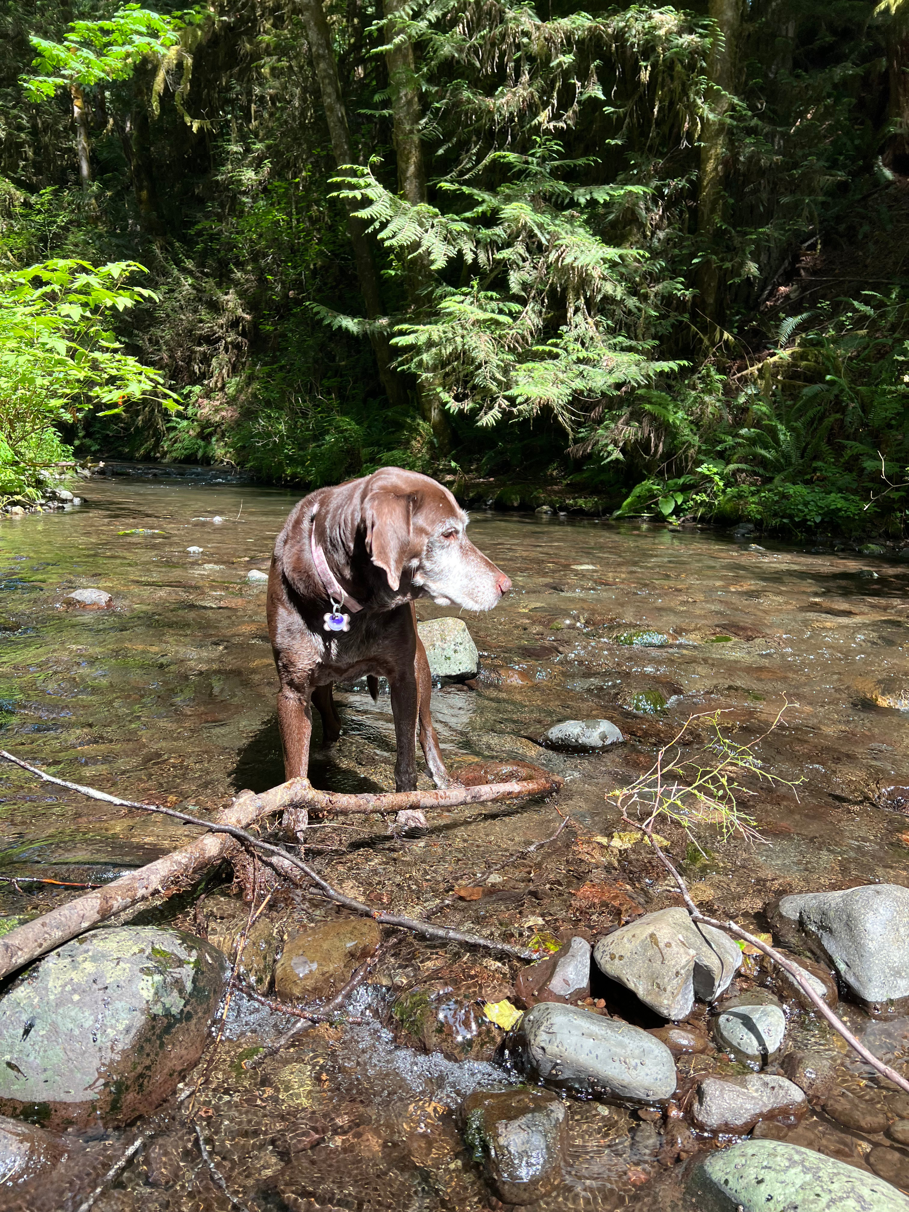 Little River Hideaway