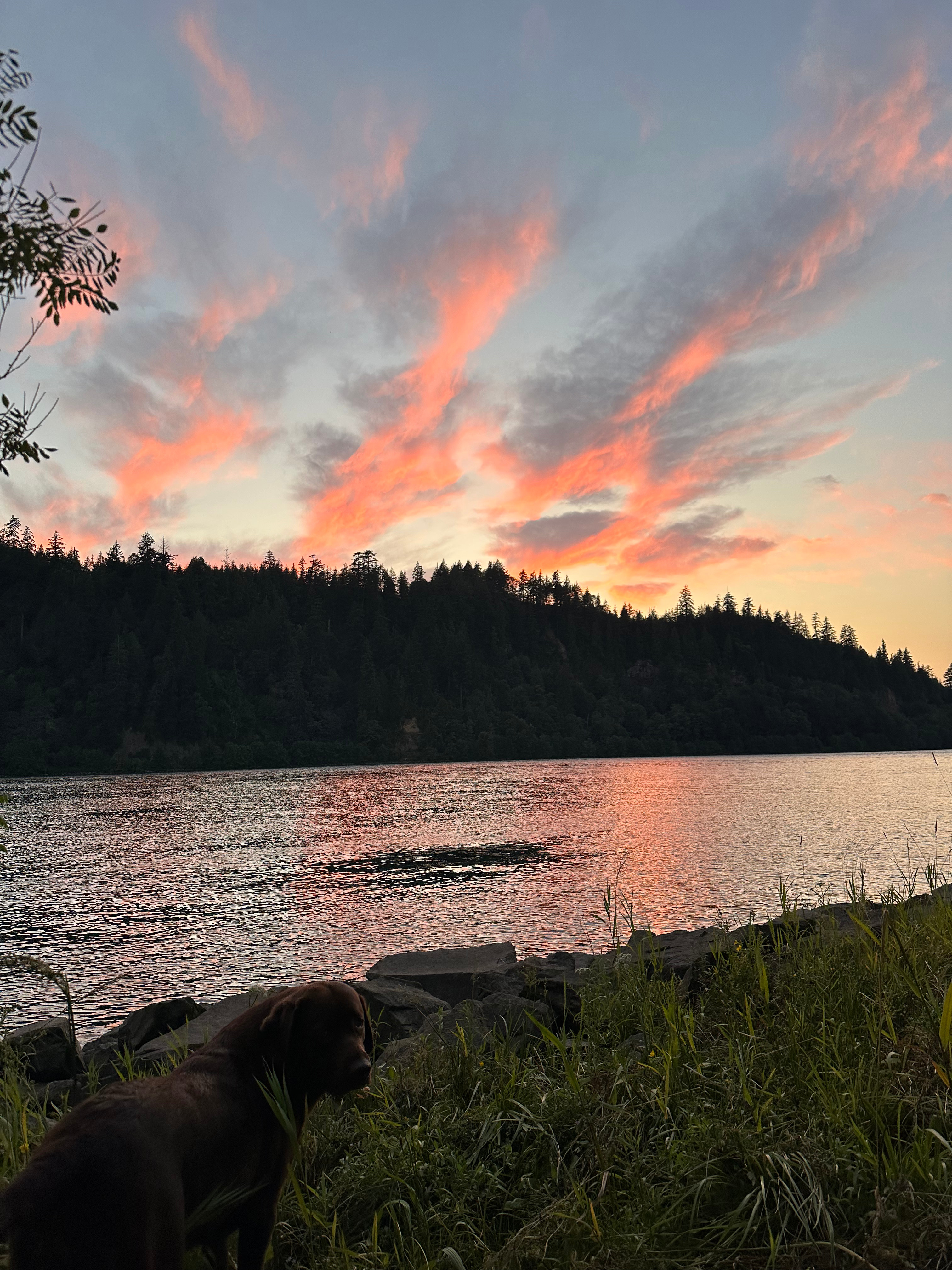 Columbia River Camping