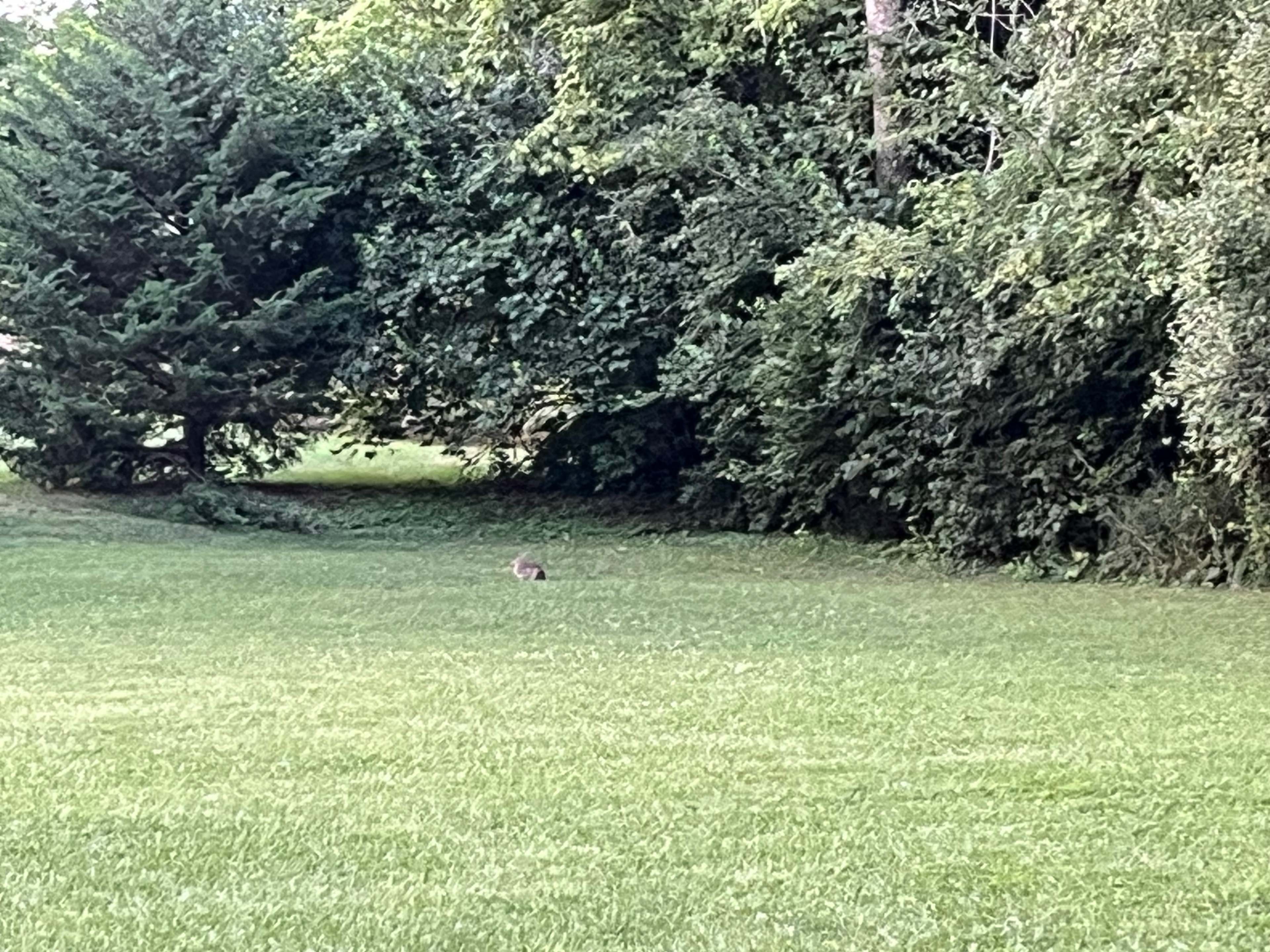 Secluded Springfield Stay