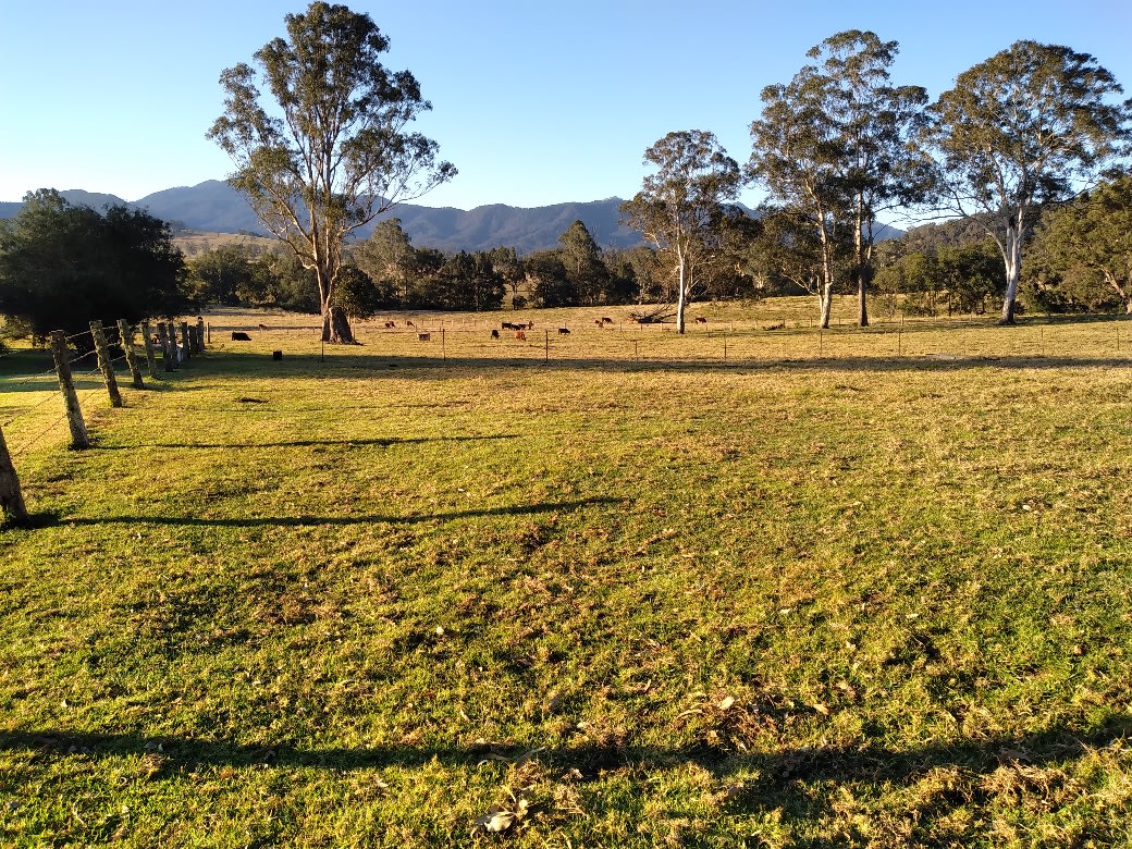 A Simpler Place in Time