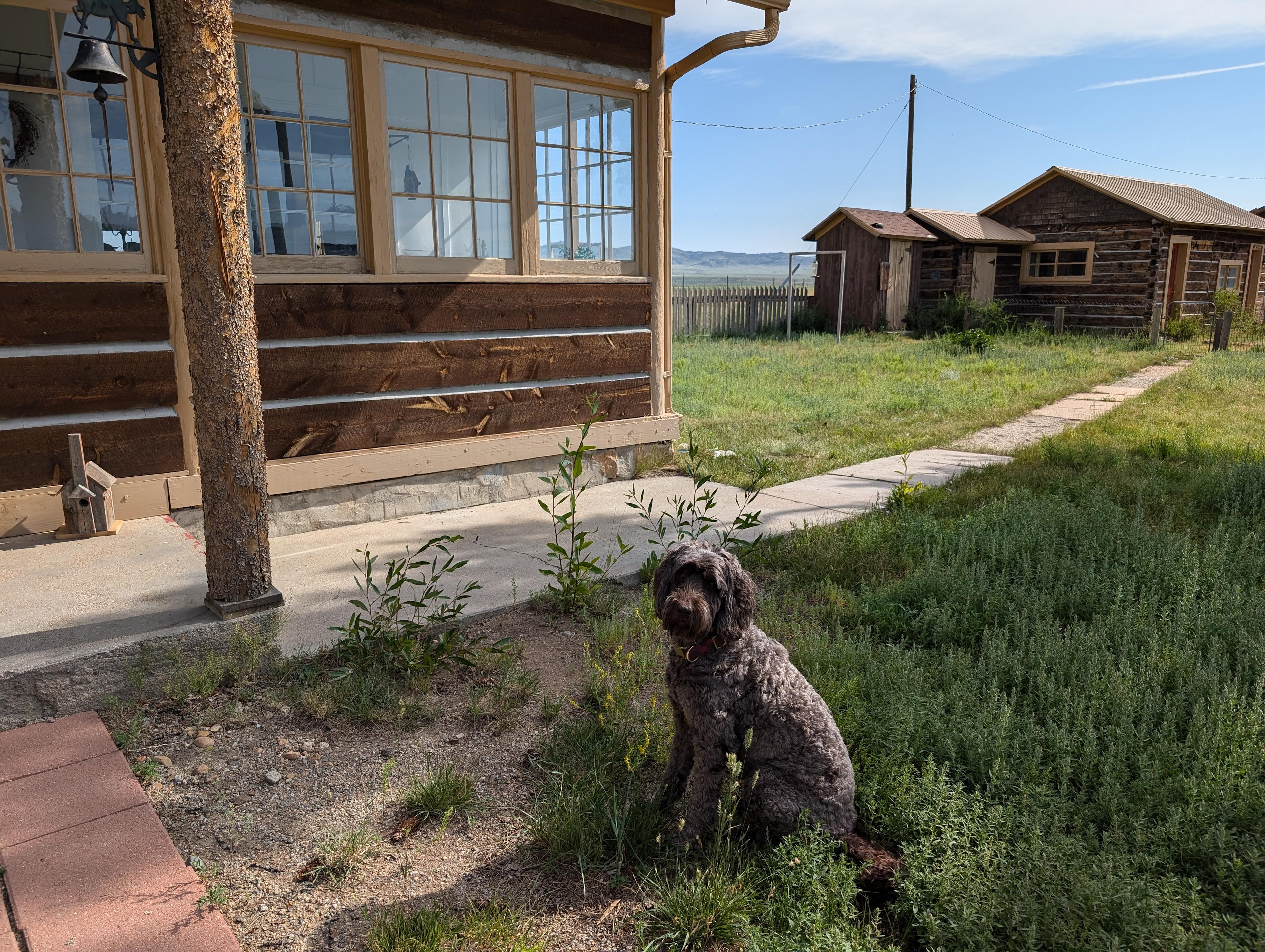 Little Buffalo Cabin