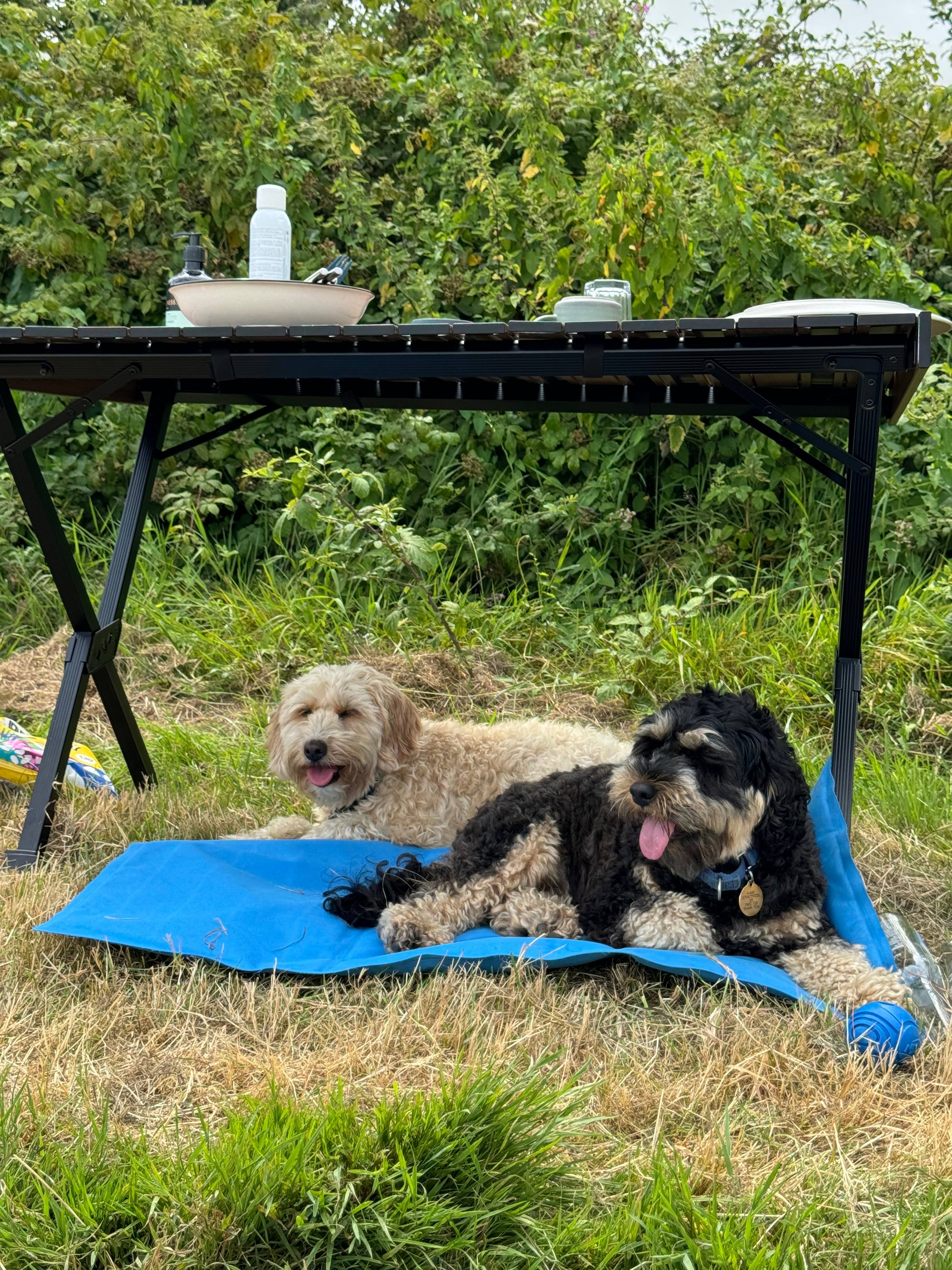 Woodfire at Chapel Field