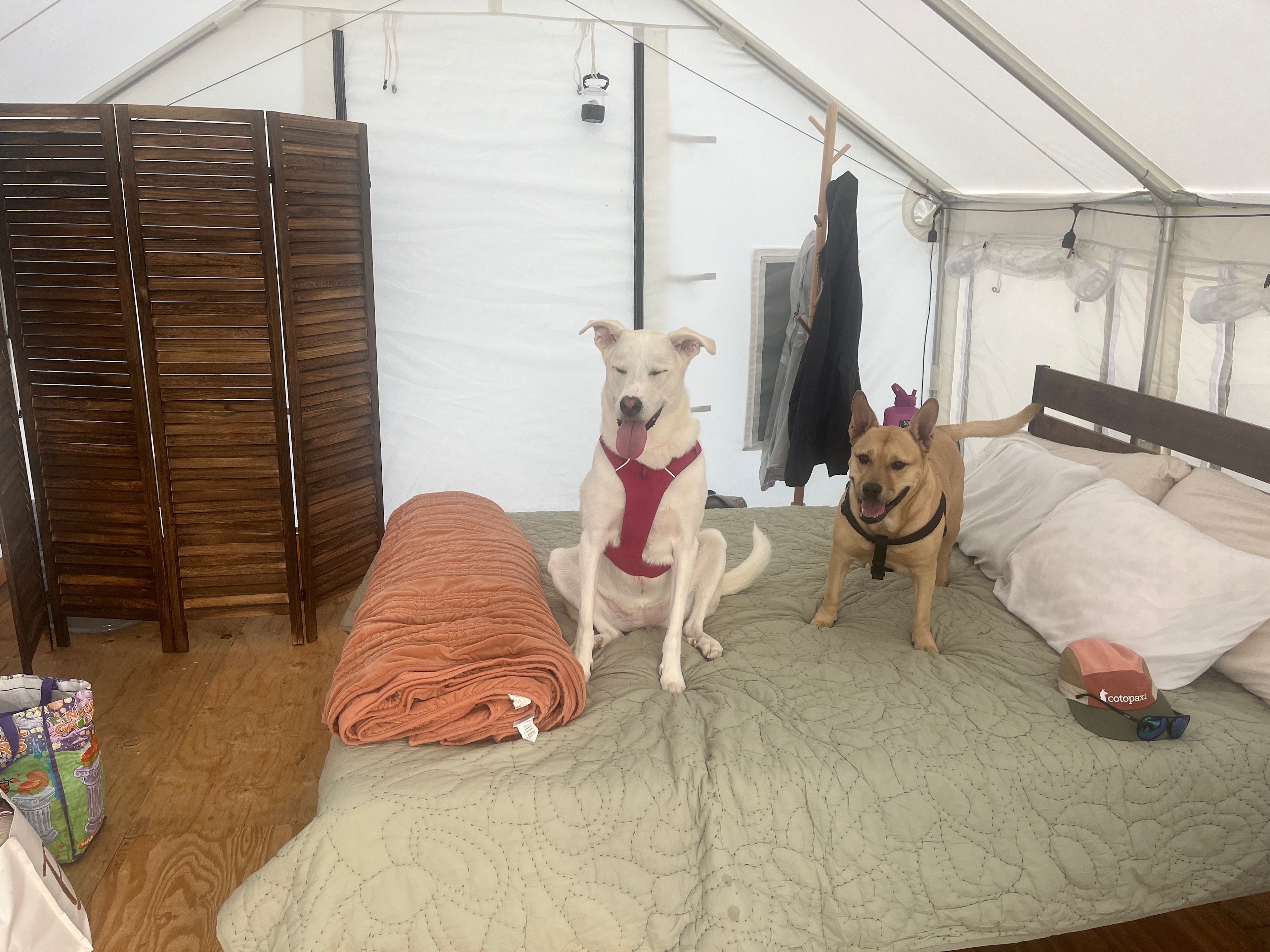 Collegiate Peaks Ranch