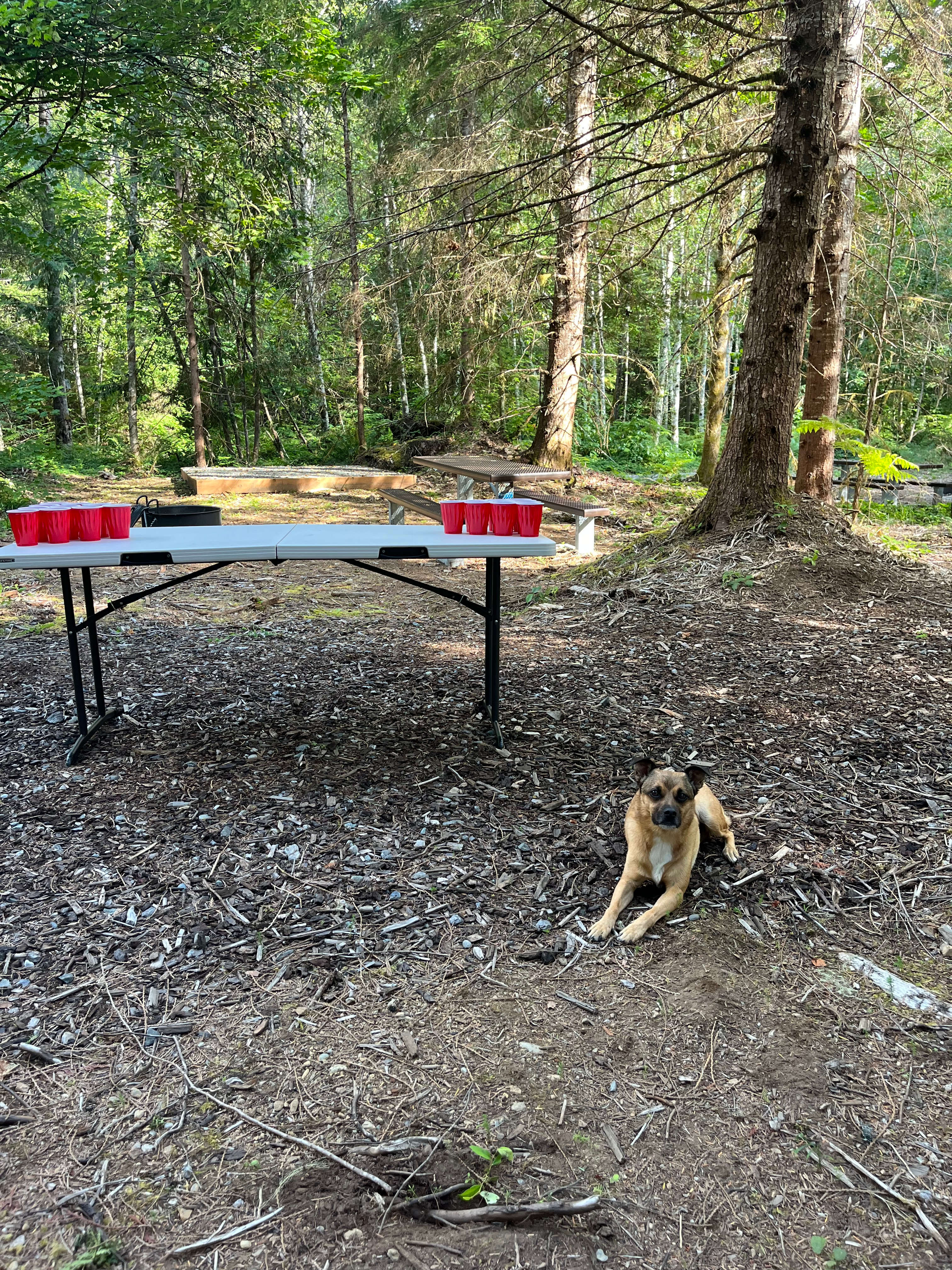 Spearhead Lake Campground