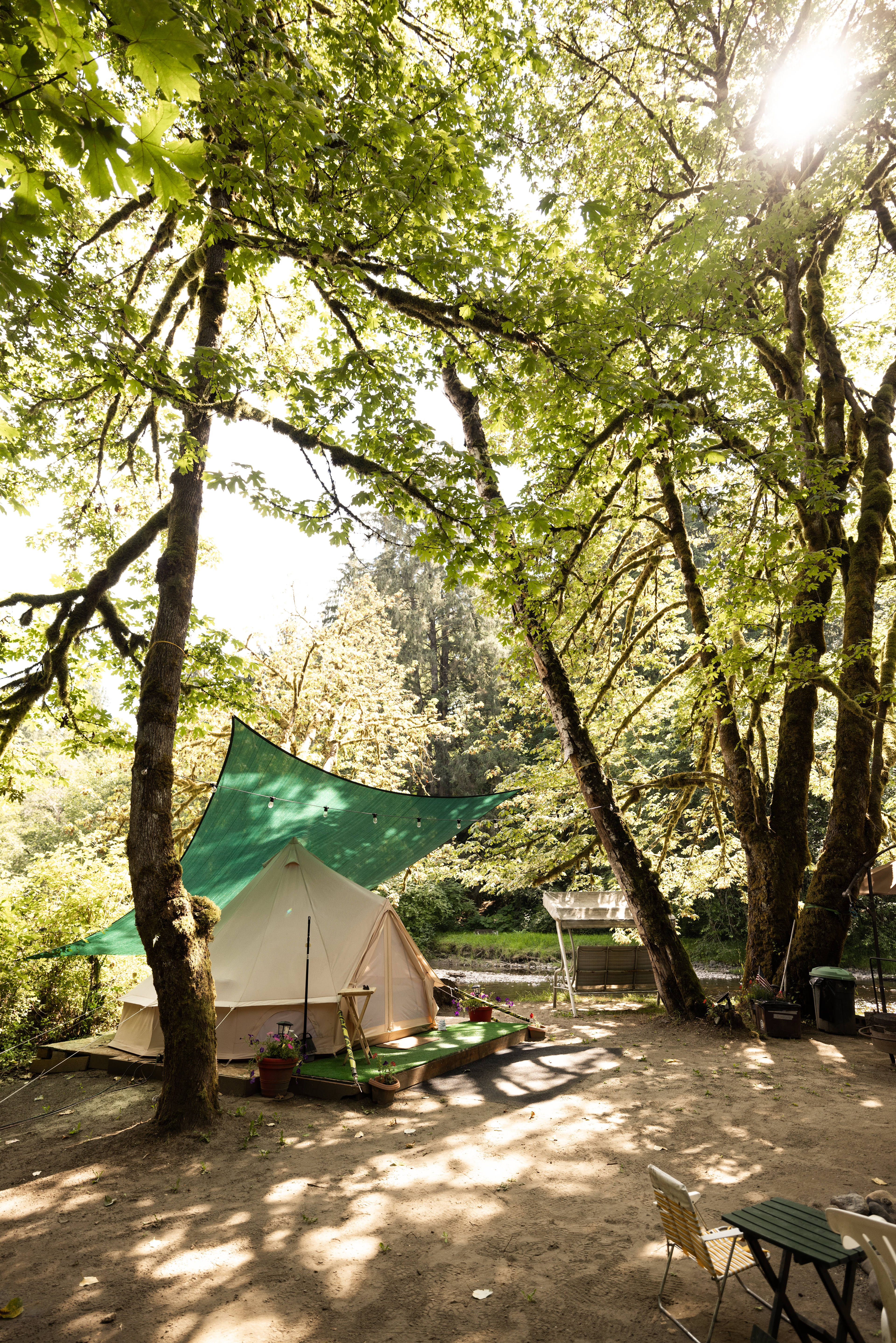 Rowley River Resort