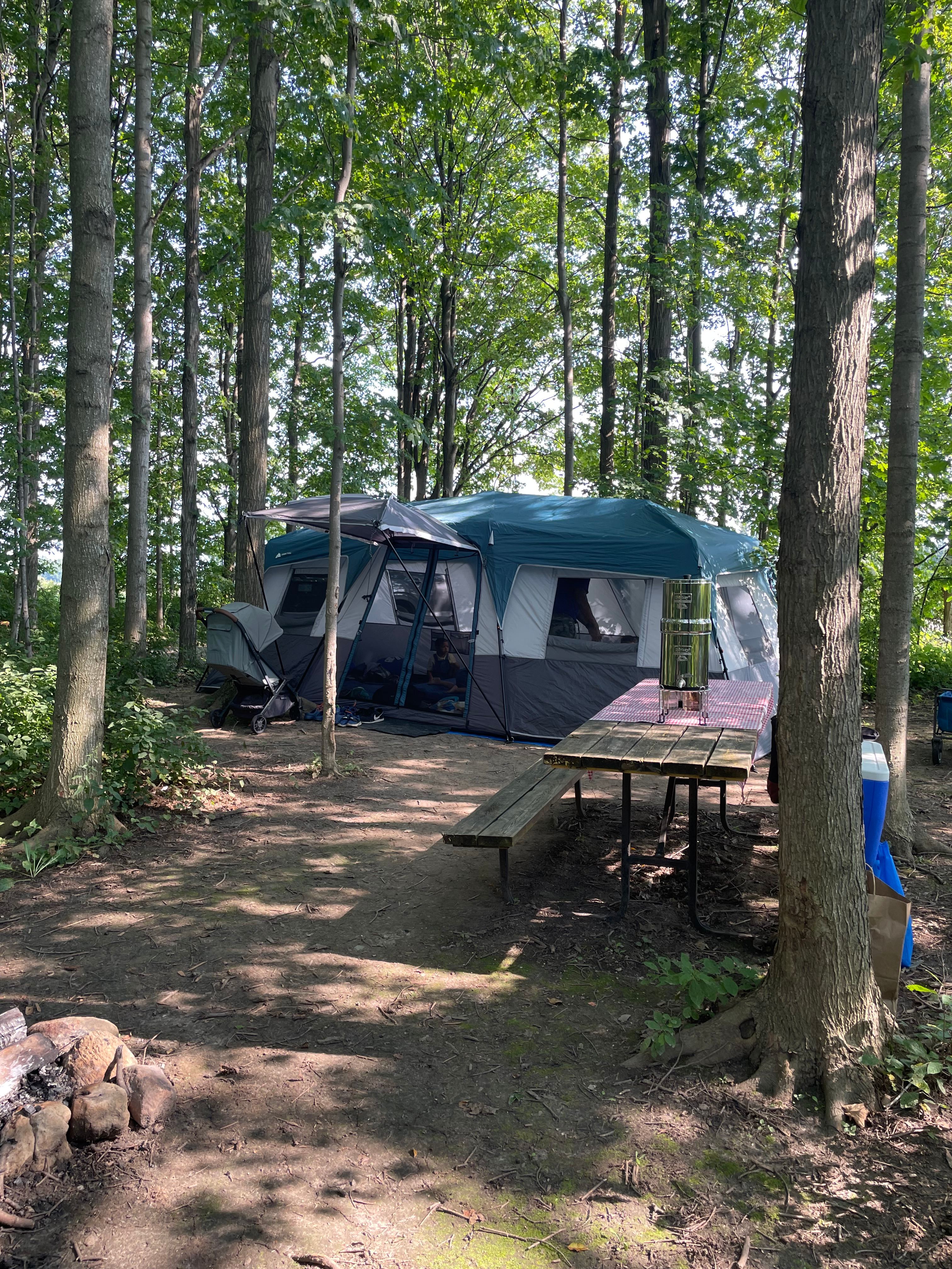 Greener Pastures Eco Farm