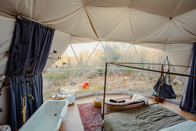 Forest Shore Domes