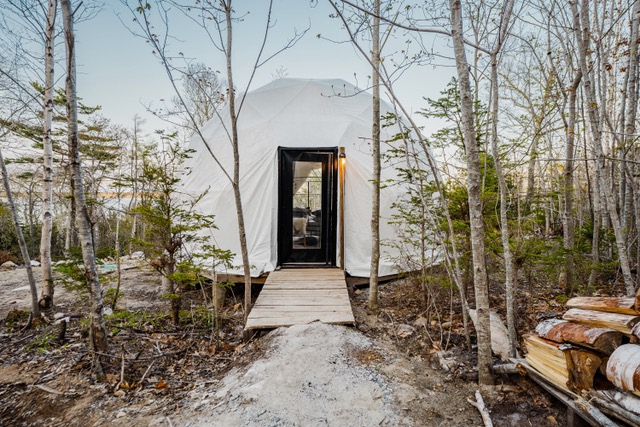 Forest Shore Domes
