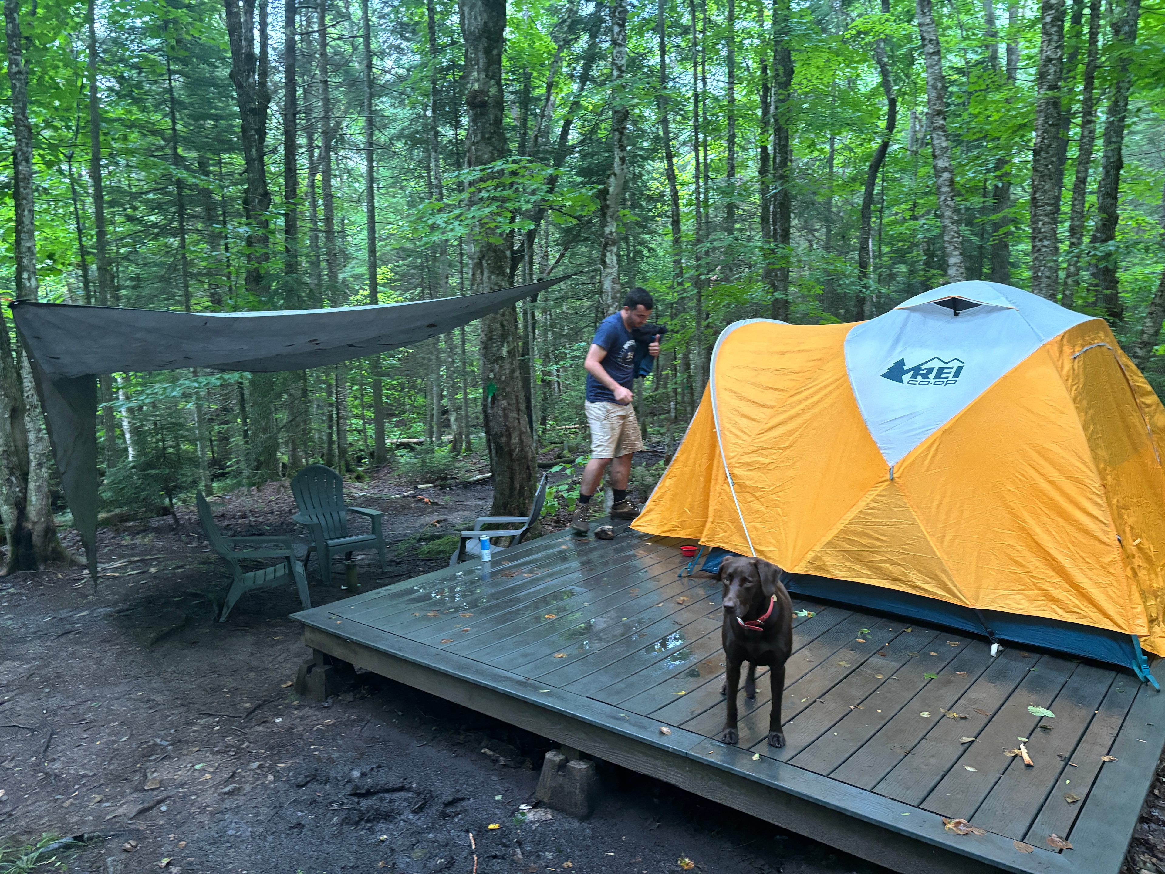 Franconia Forest - 5 Private Acres
