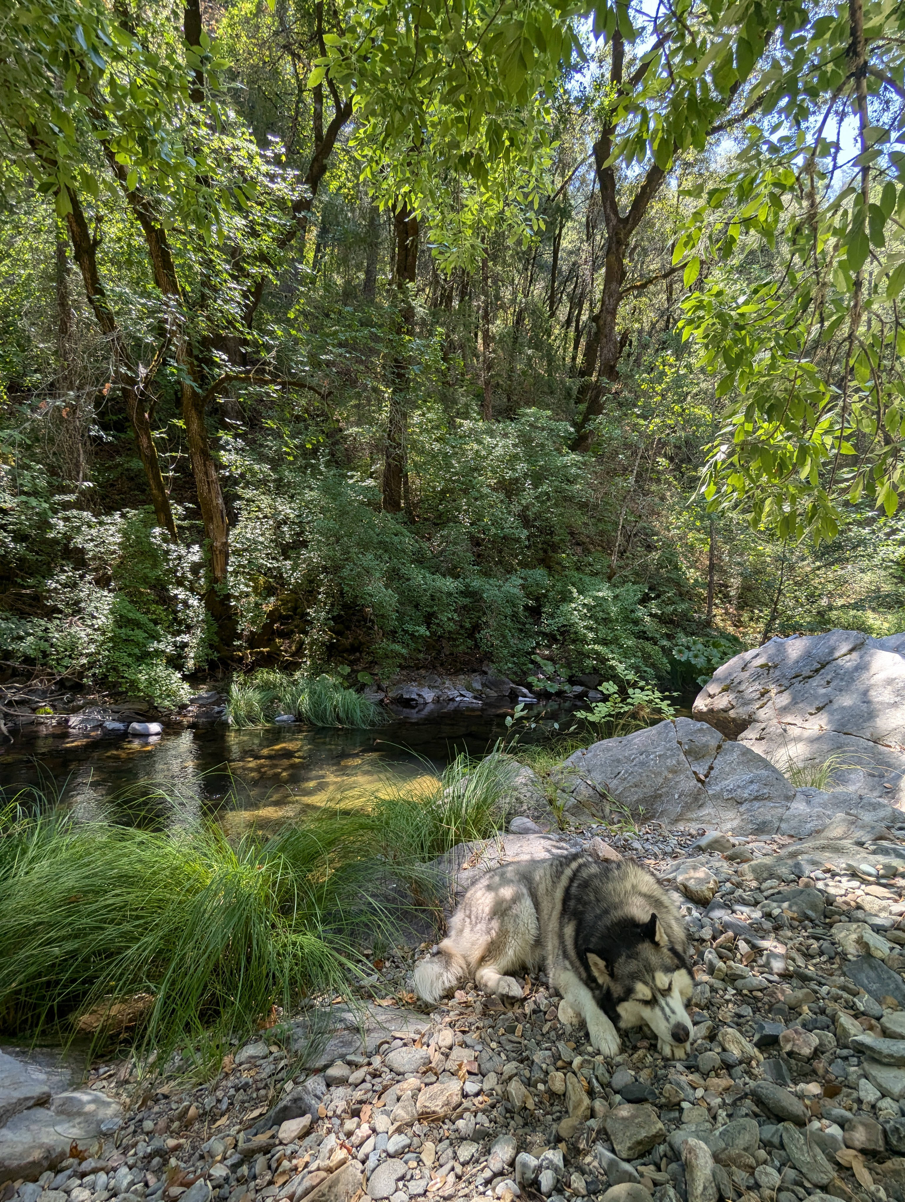 Strange Ranch - River and Gold