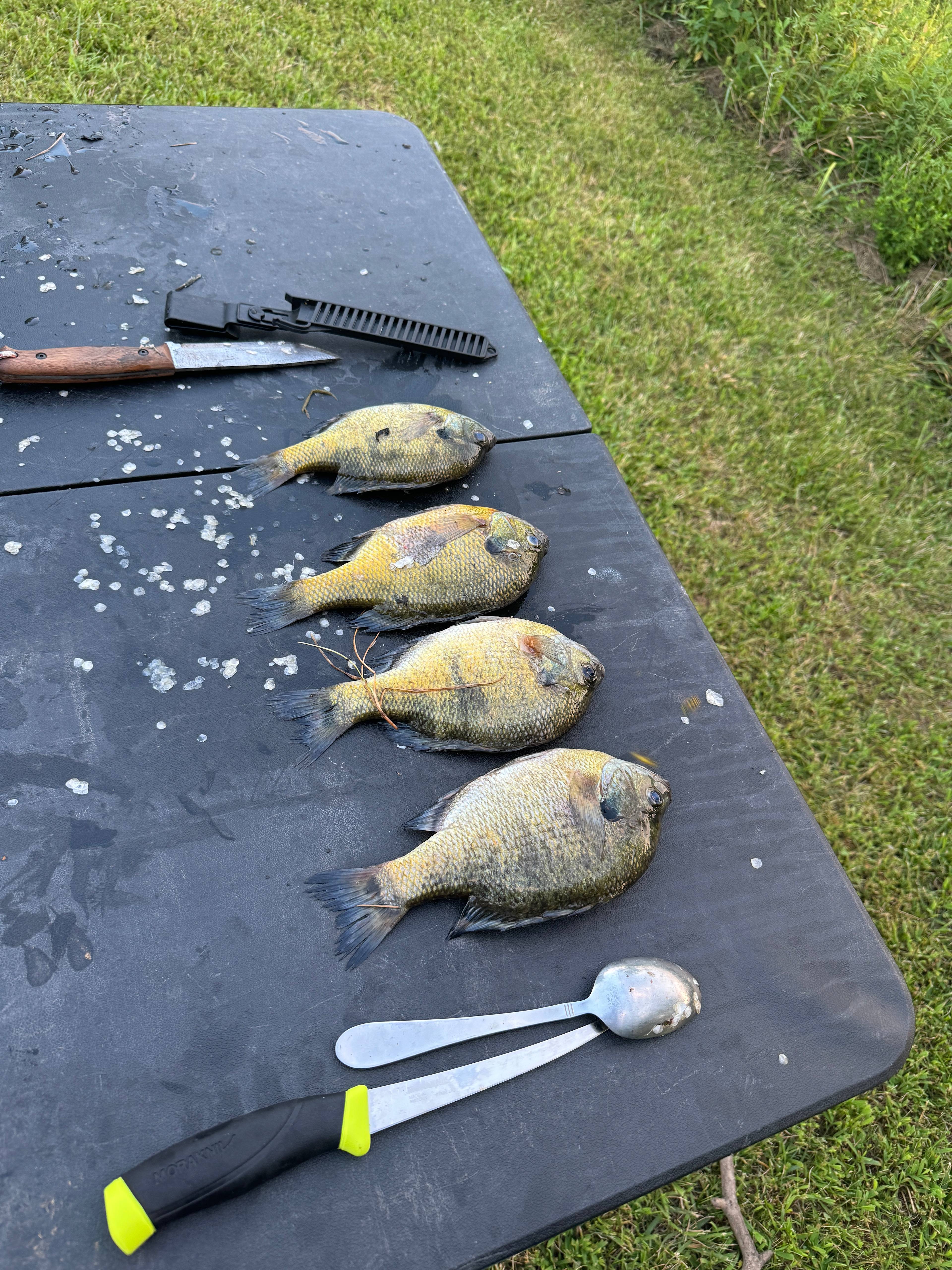 Bear Creek Farm and Ranch