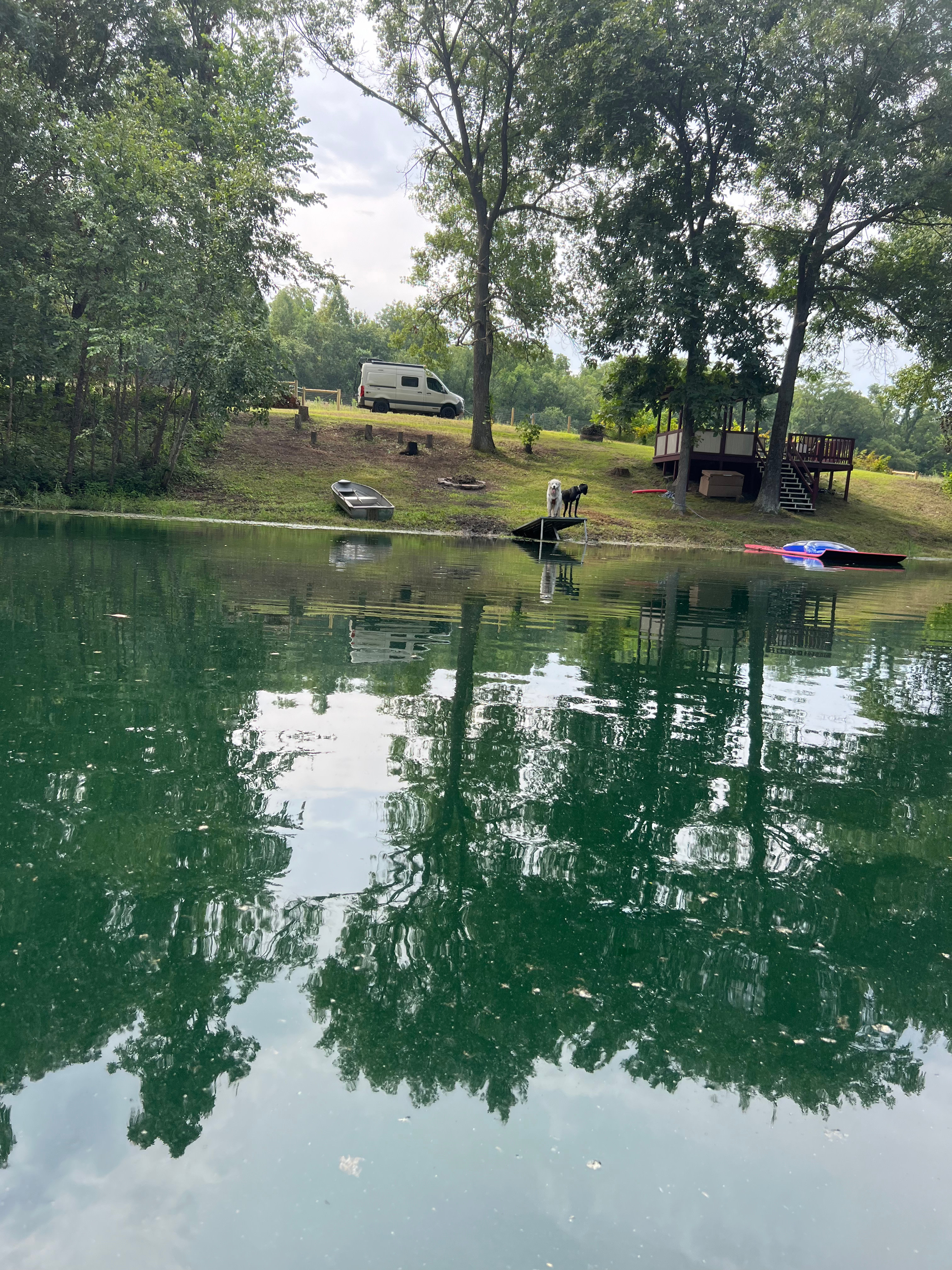 Honey Bee & Bee Homestead