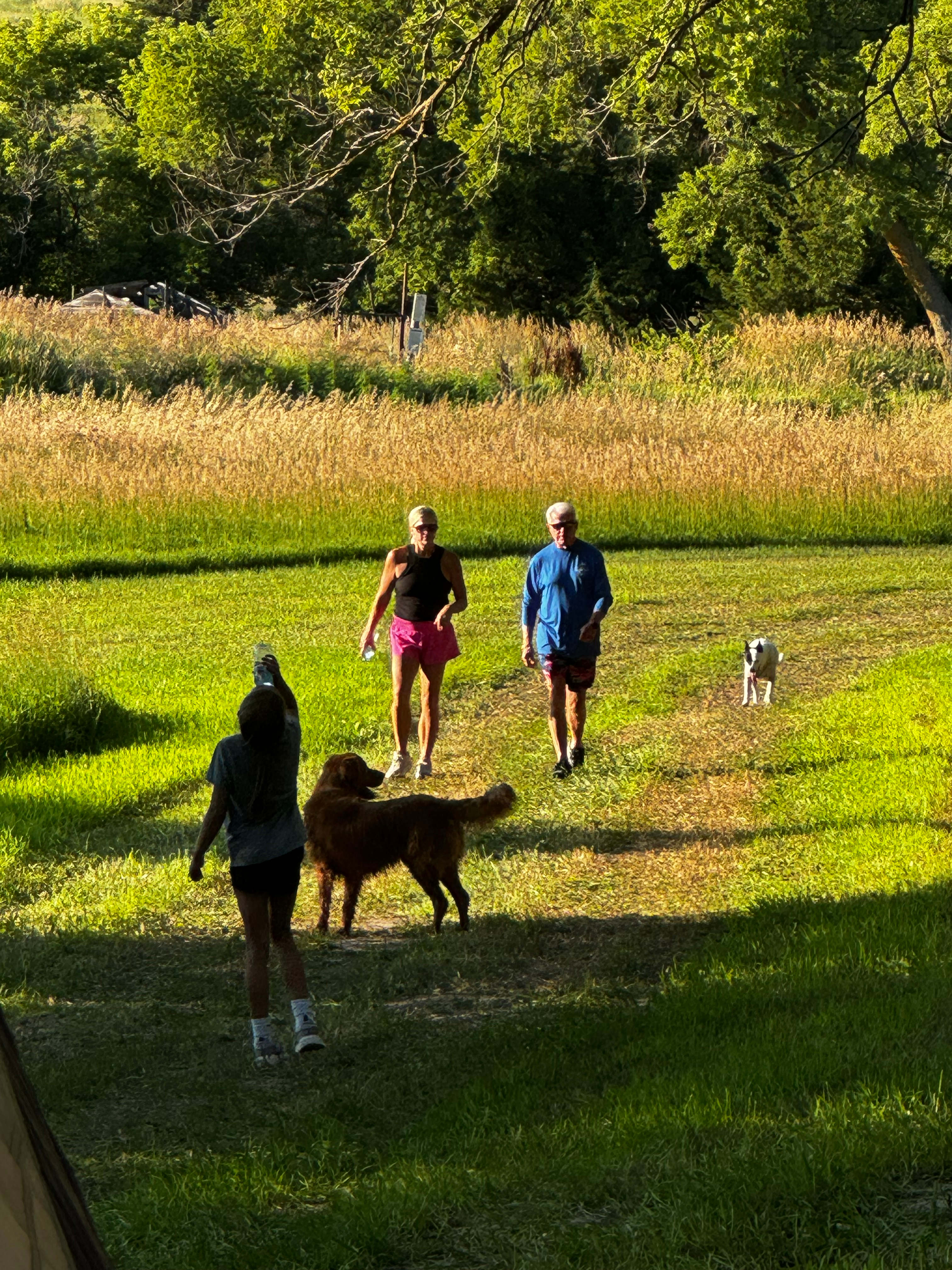 Potters Pasture
