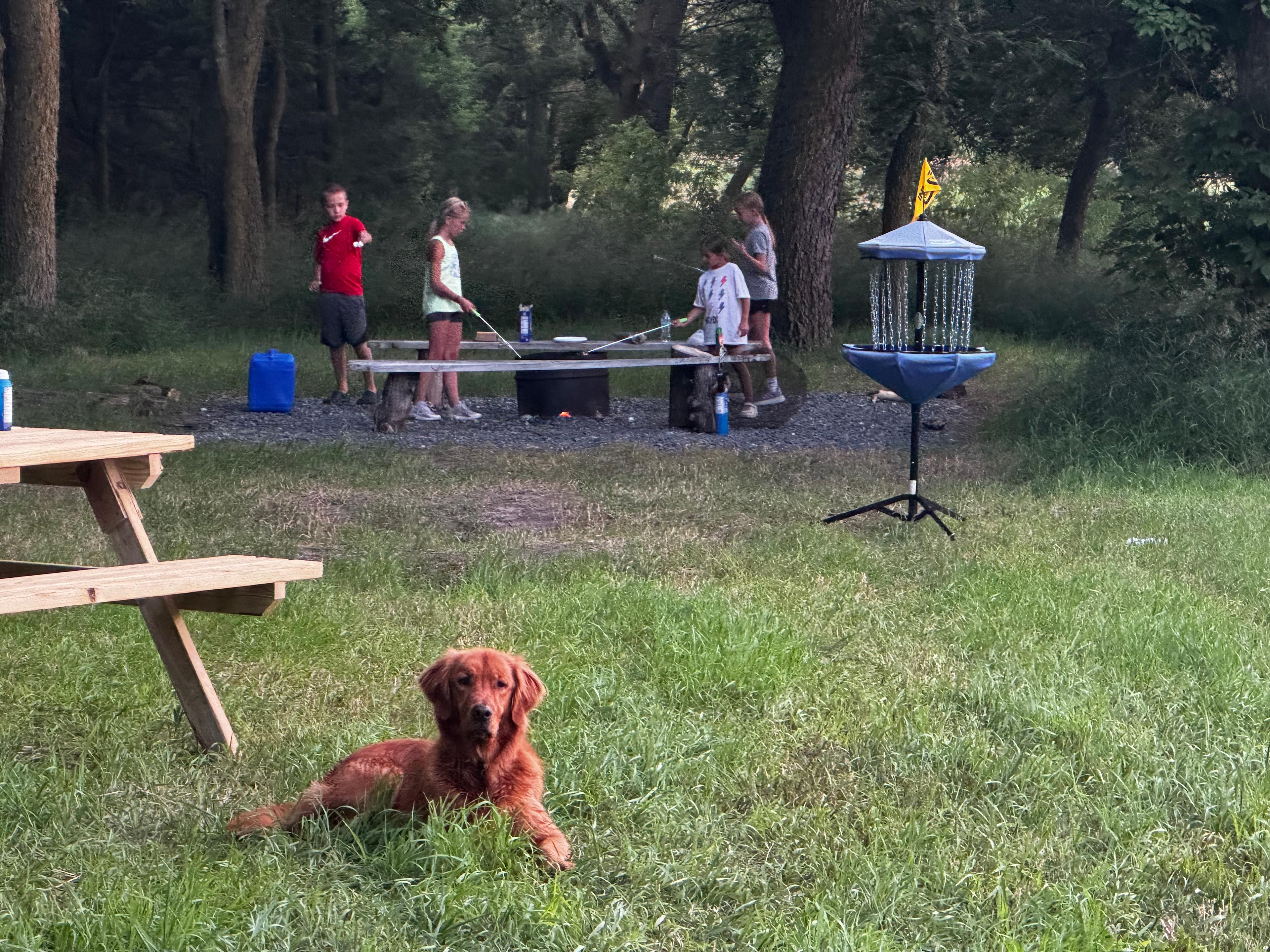 Potters Pasture