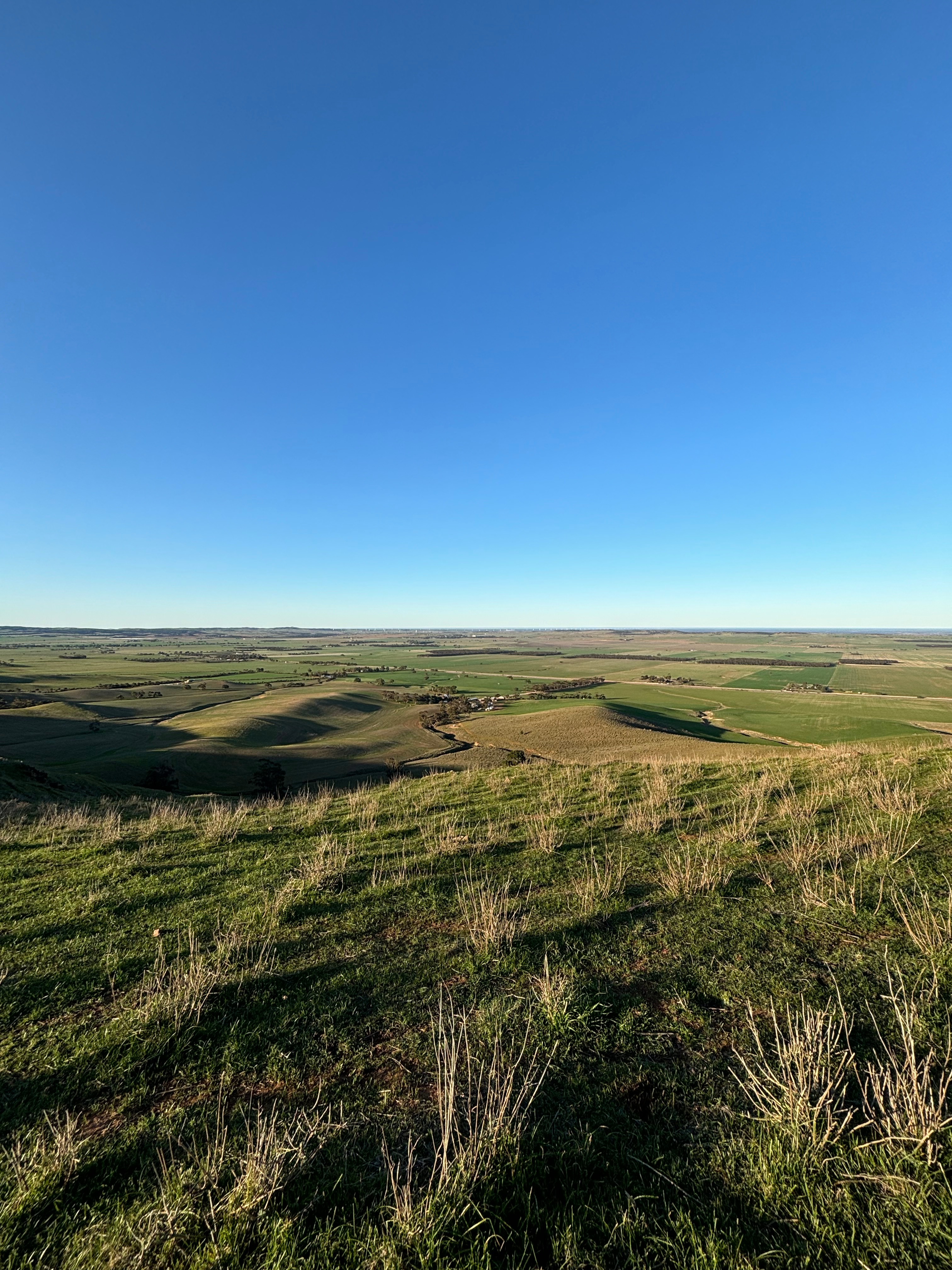 Downhill Run Camping