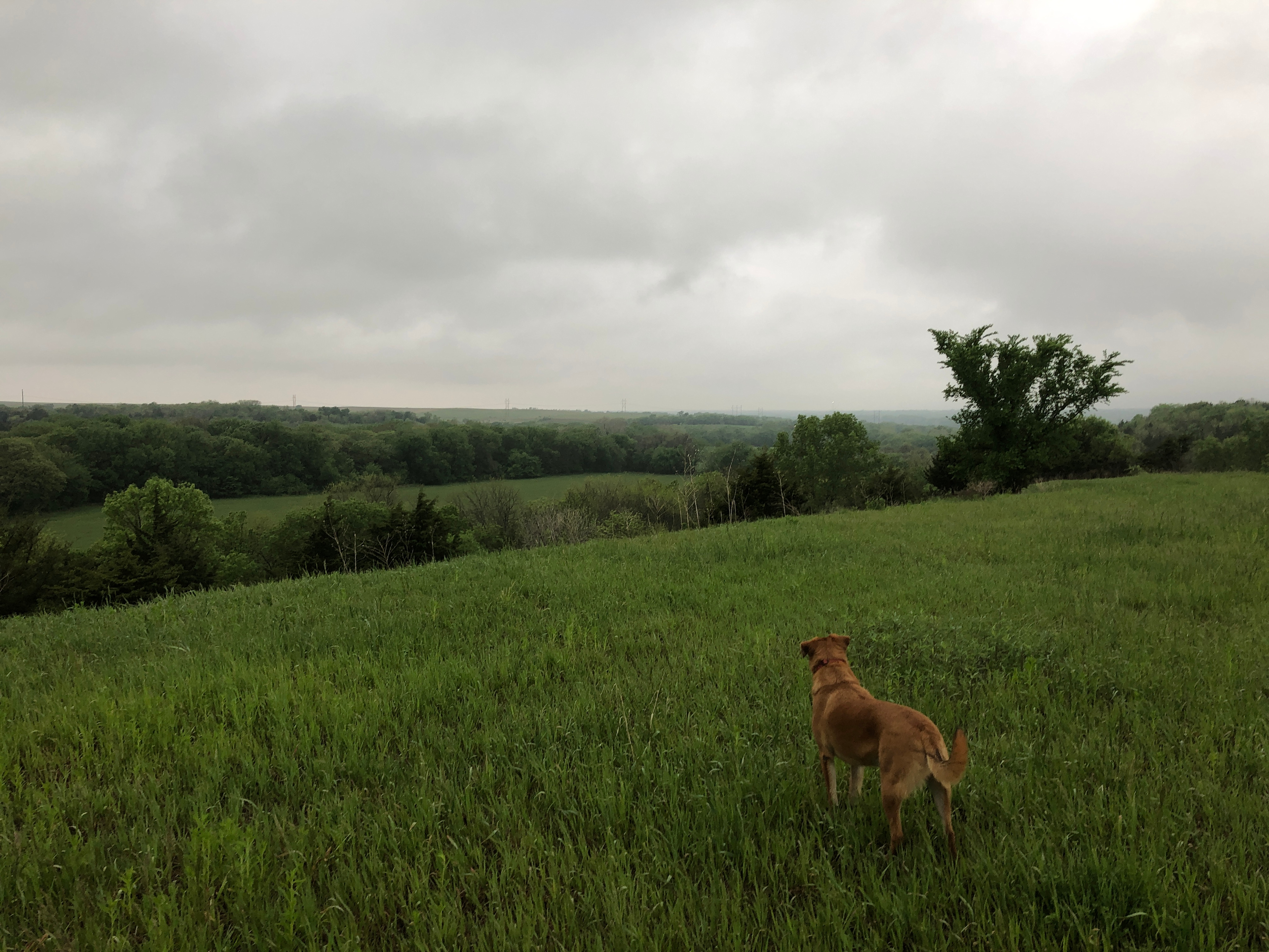 Emmons Creek