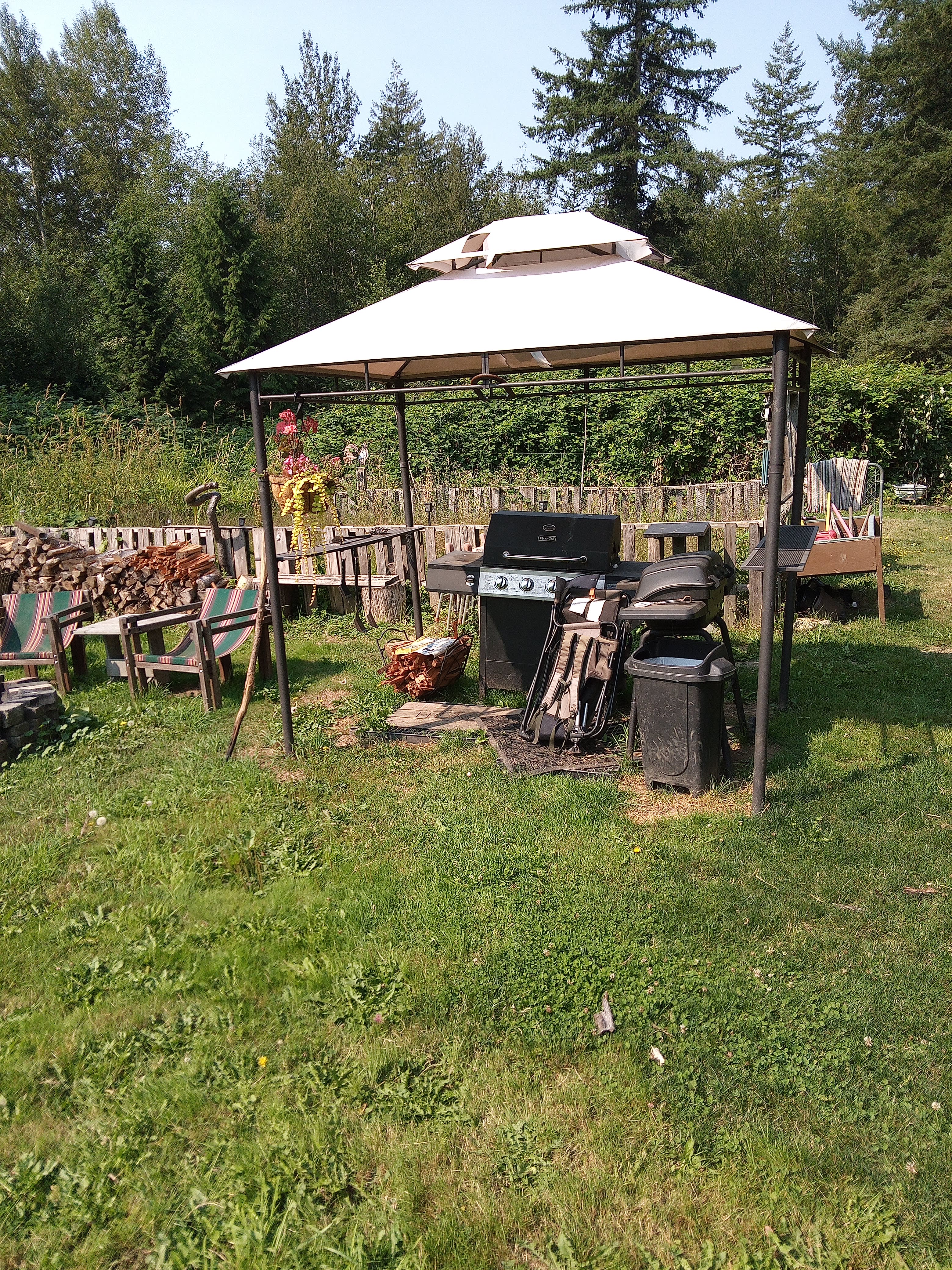 Tree house camp grounds