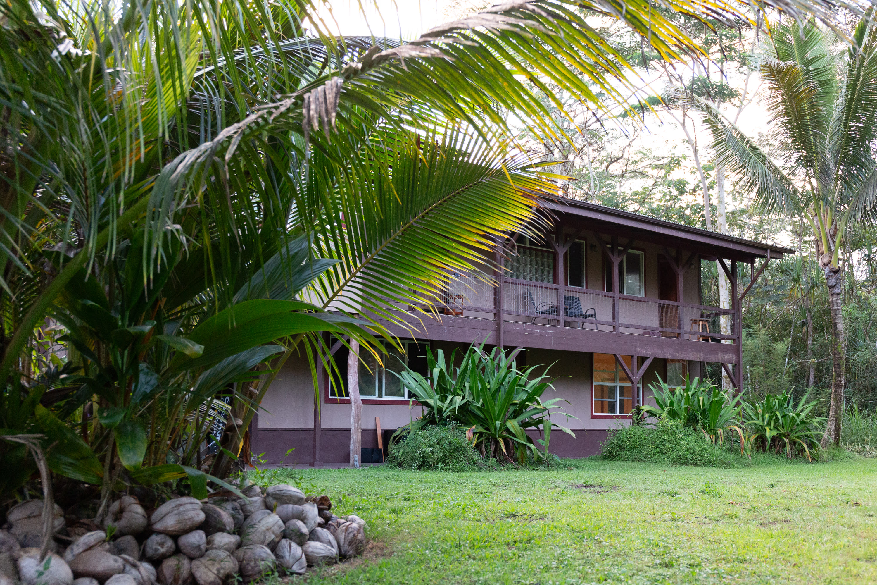 Hawai'i Roots and Branches Farm