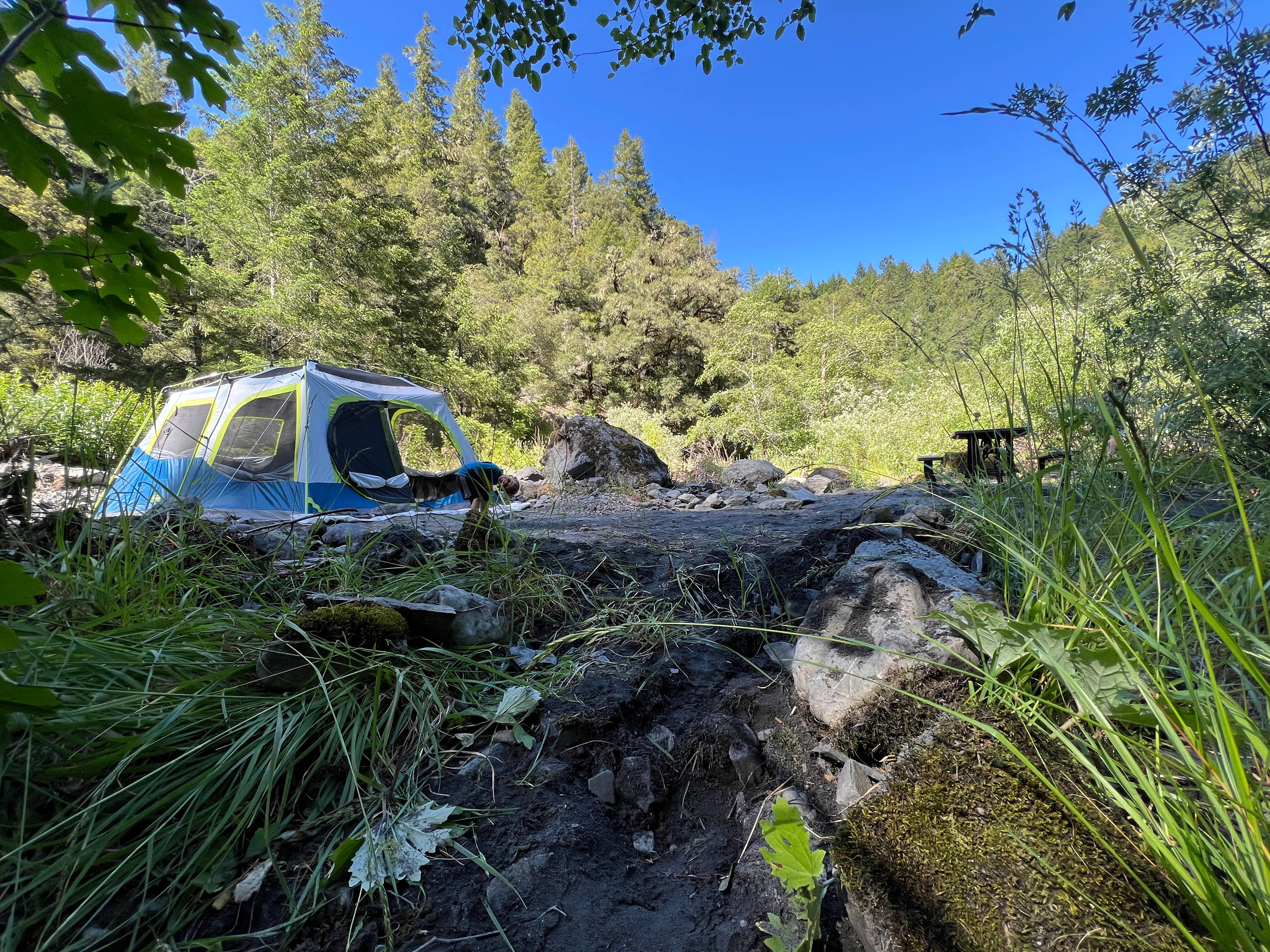 Tranquil Riverside Camping