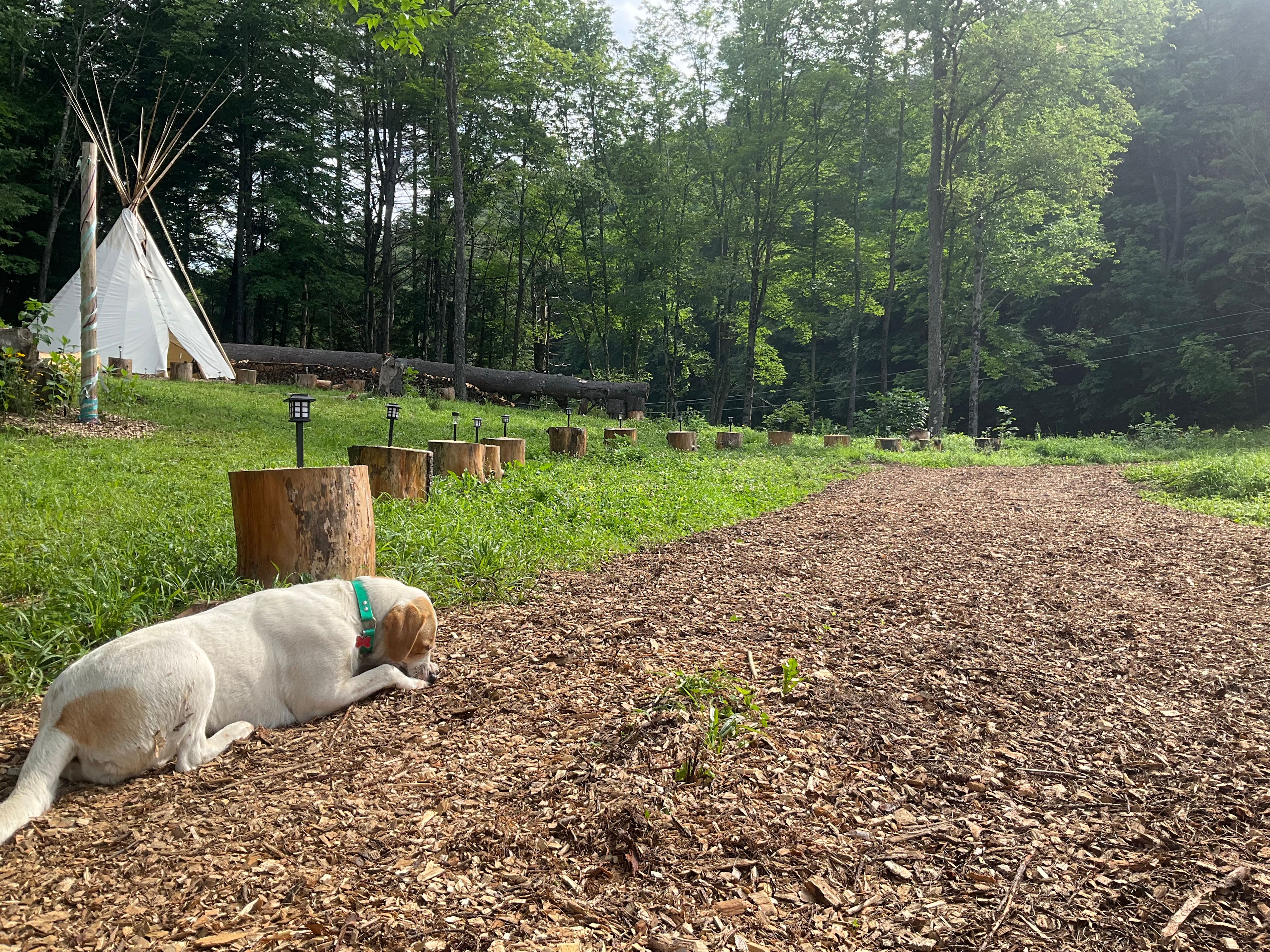 Tamias Post Lodges