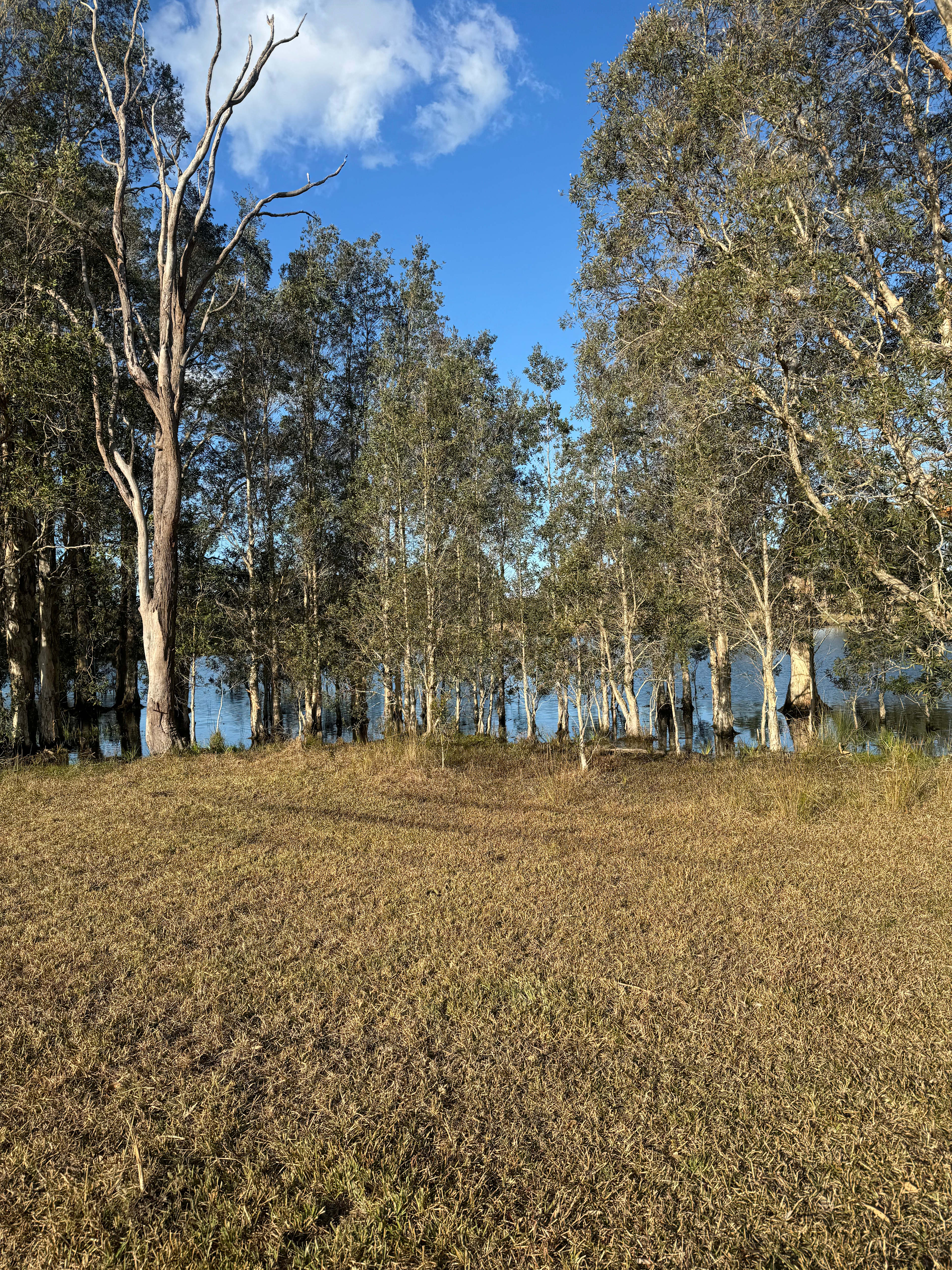 Glencliffe Lea