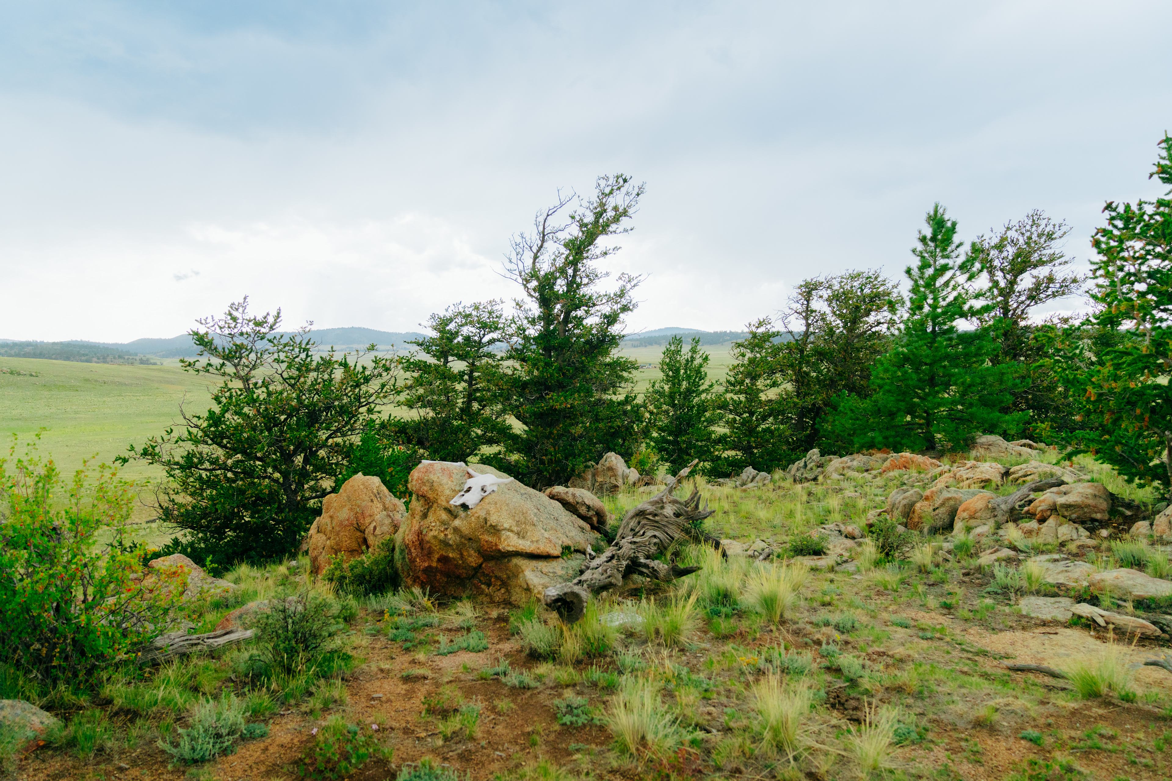 High Plains Hideaway