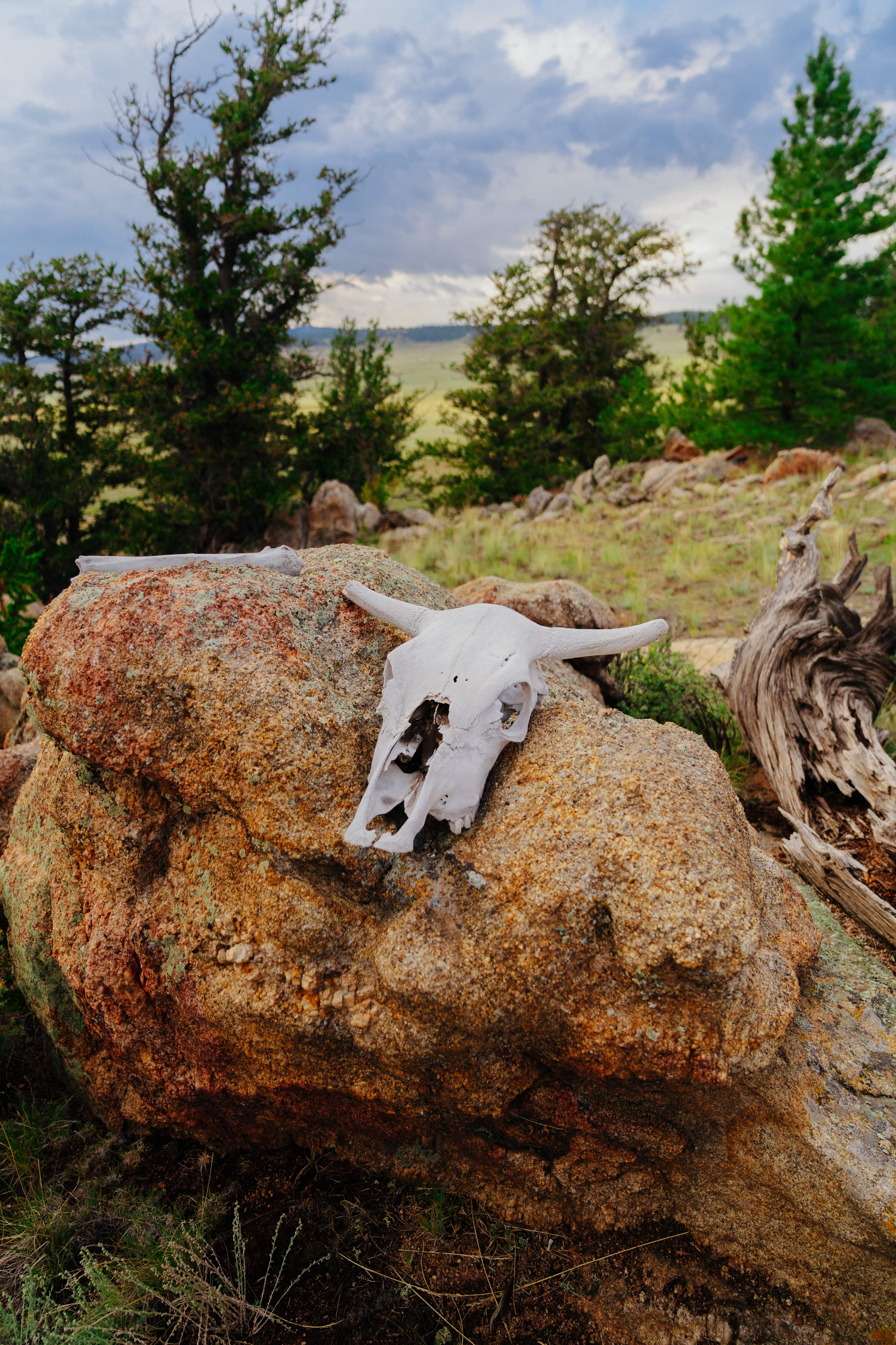 High Plains Hideaway