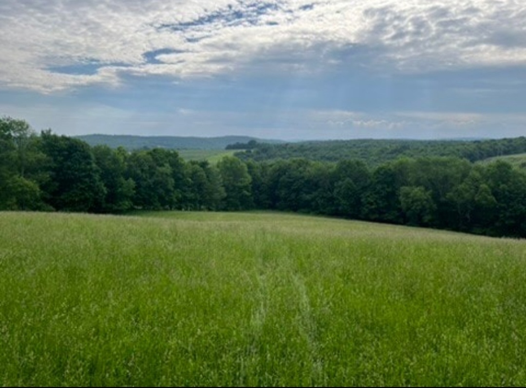 Papillon farms