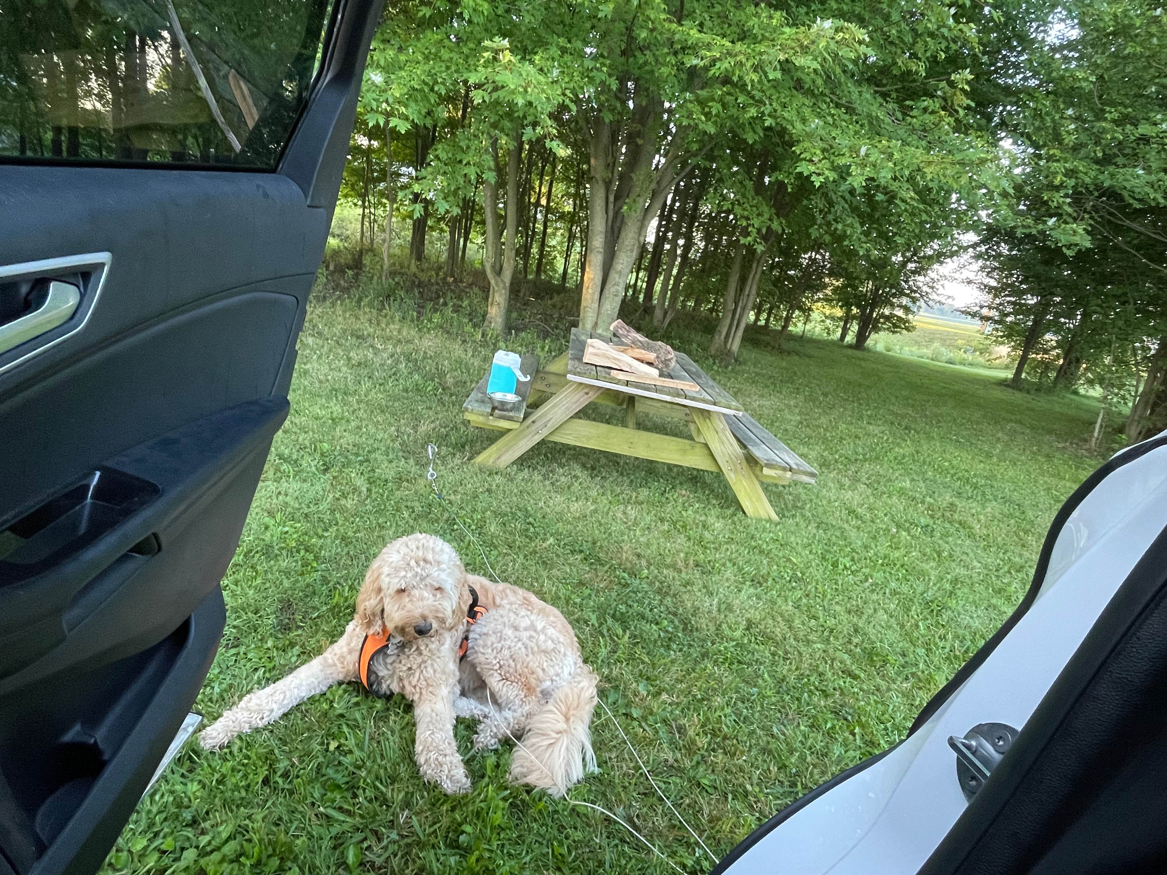 Scott and Amy's Rural Respite