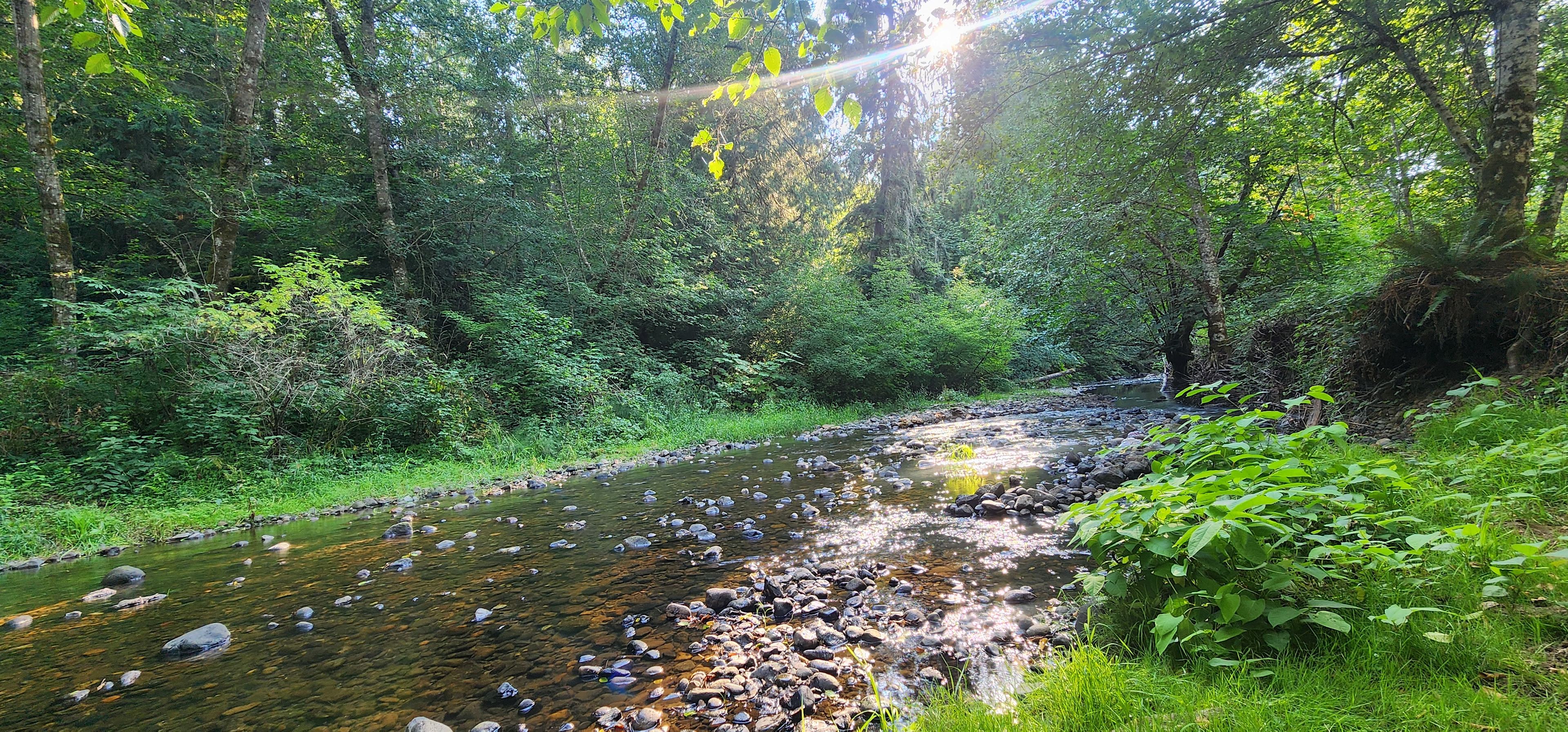 Bennett's Creekside Landing
