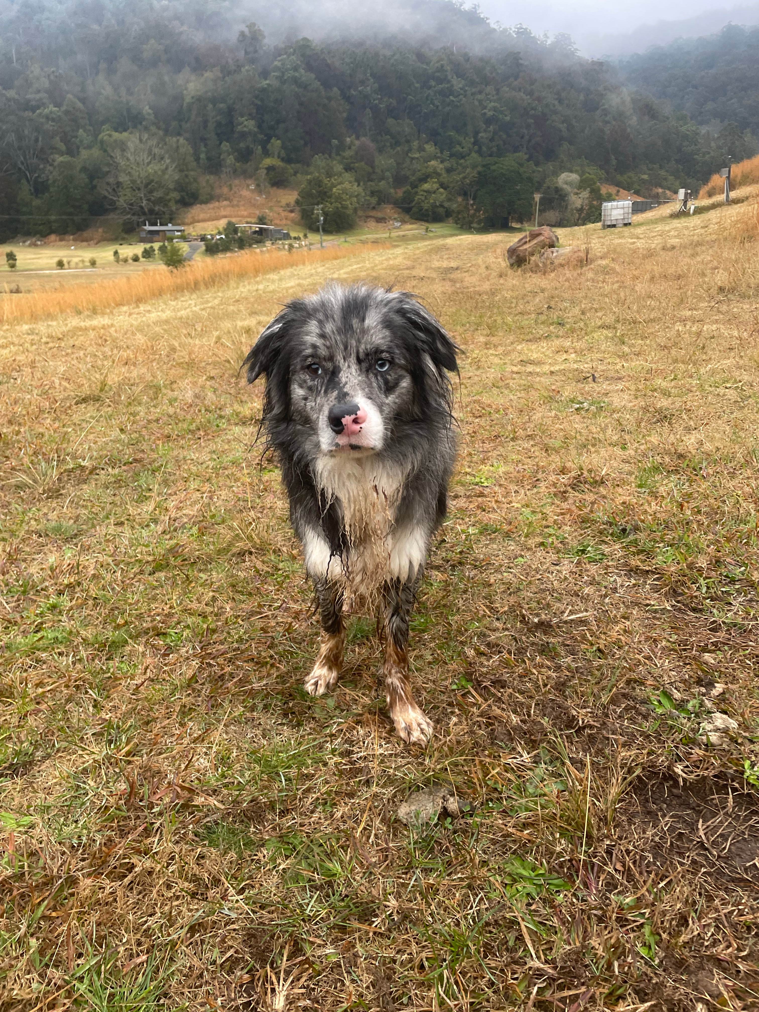 Central Coast Valley Farm